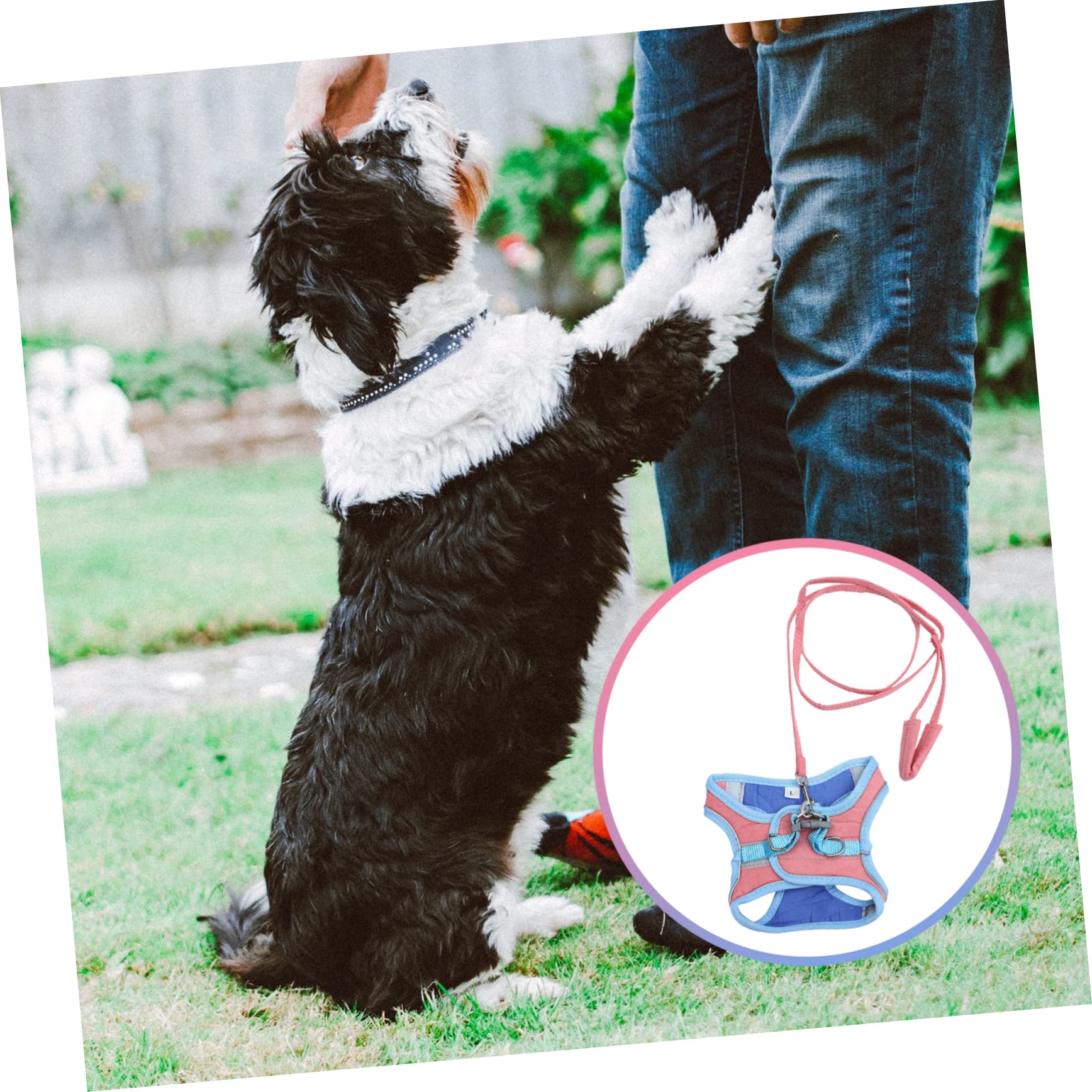 Didiseaon Chaleco Reflectante de 3 Piezas para Perros Y Gatos Moderno Y Elegante para Pasear al Aire con Correa.