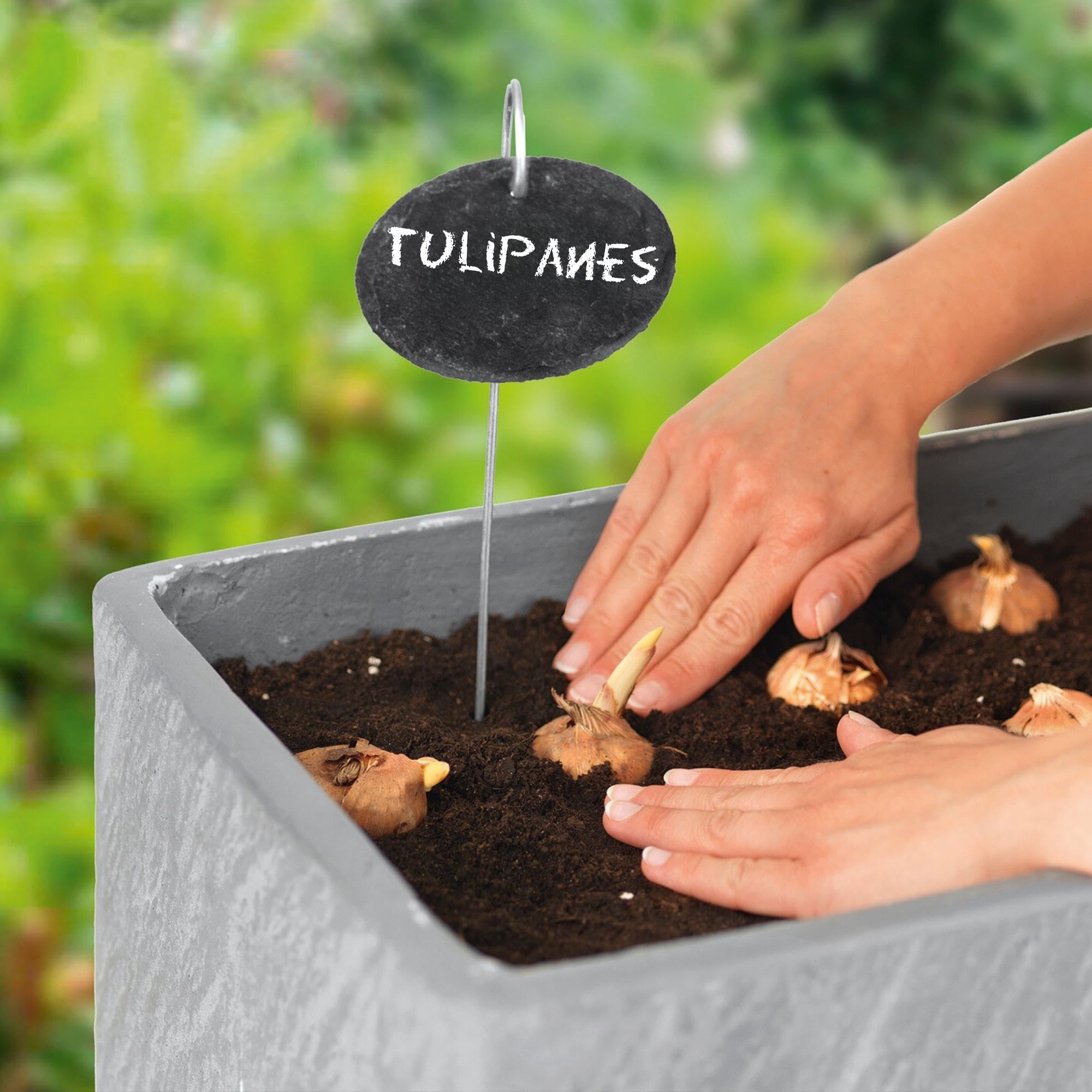 Hoberg Etiquetas para plantas de pizarra - Set de 10 | Resistentes a la intemperie, reutilizables | Etiquetado de plantas & hierbas | Con púas de acero para el suelo | 9 x 7 x 0,5 cm [Ovalado]