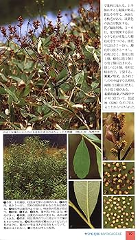 空にさく花 空にさく花 空にさく花 空に咲く花 (ENG/KAN/ROM) Official