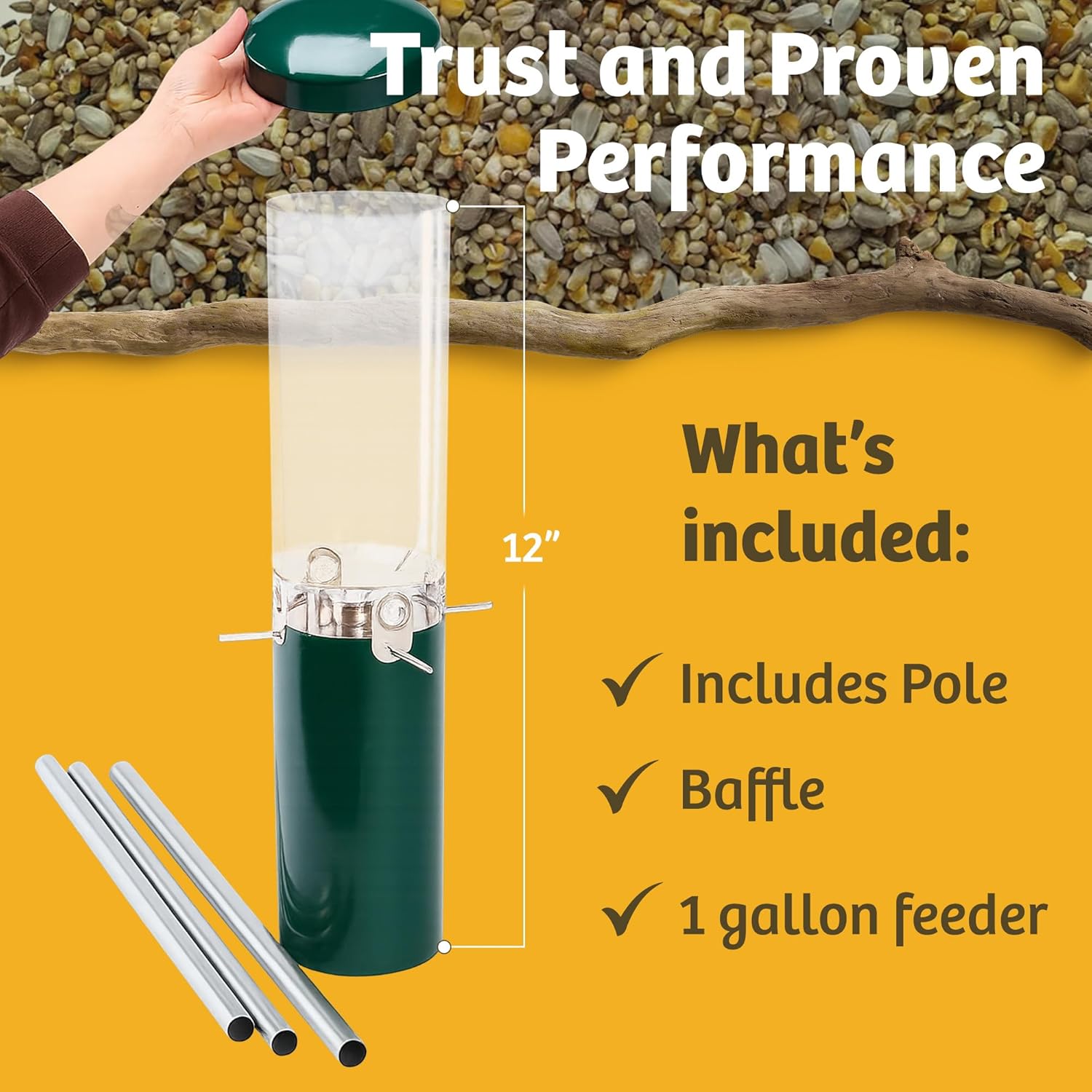 Birds Choice Classic Squirrel Proof Bird Feeder with Pole Mount | Tube Bird Feeder for Cardinals, Chickadees, Woodpeckers | Sturdy Steel for Long-Lasting Use | Backyard Bird Seed Dispenser | Green - Image 6