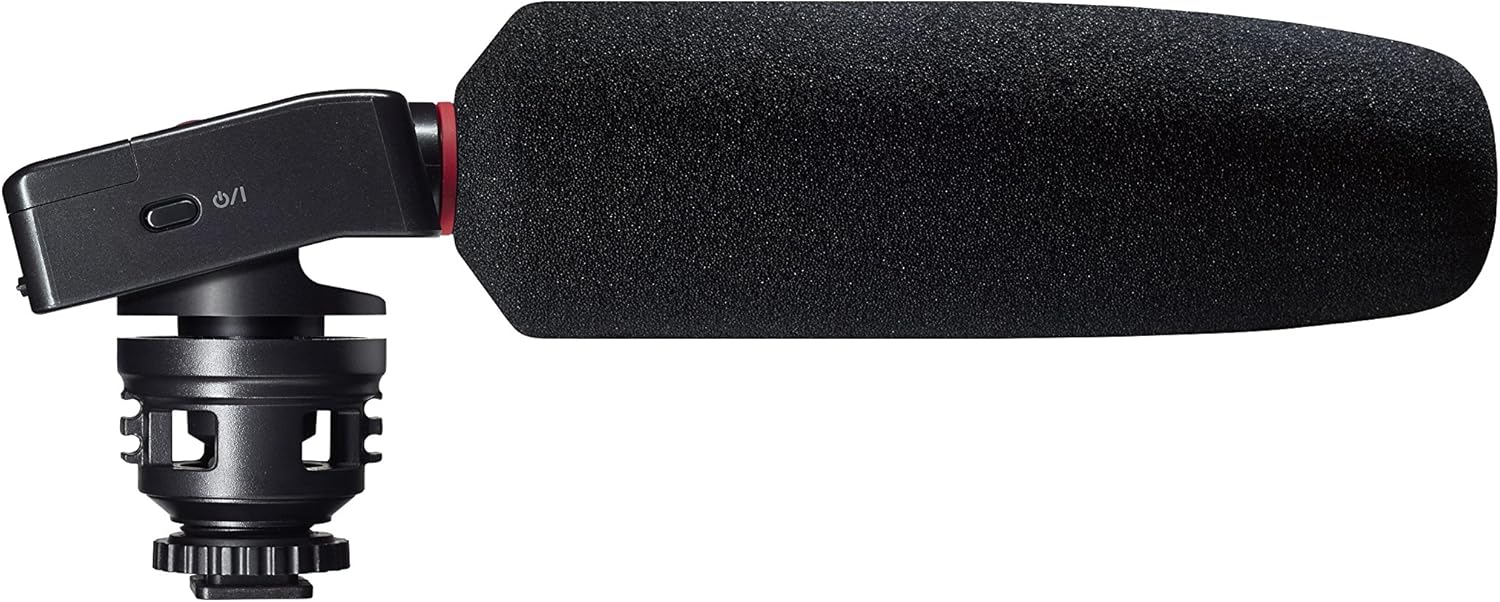 Hottest Sales Tascam DR-10SG Camera-Mountable Audio Recorder with Shotgun Microphone Limited Stock Tascam DR-10SG Camera-Mountable Audio Recorder with Shotgun Microphone