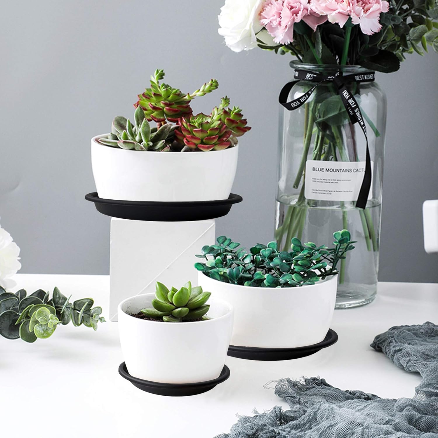 QCYOHO 12 Pack Plant Saucer Plastic Plant Trays Flower Plant Pot Saucer Heavy Duty Sturdy Drip Trays for Indoor Outdoor Garden (6''/8.5''/10'', Black) : Patio, Lawn & Garden