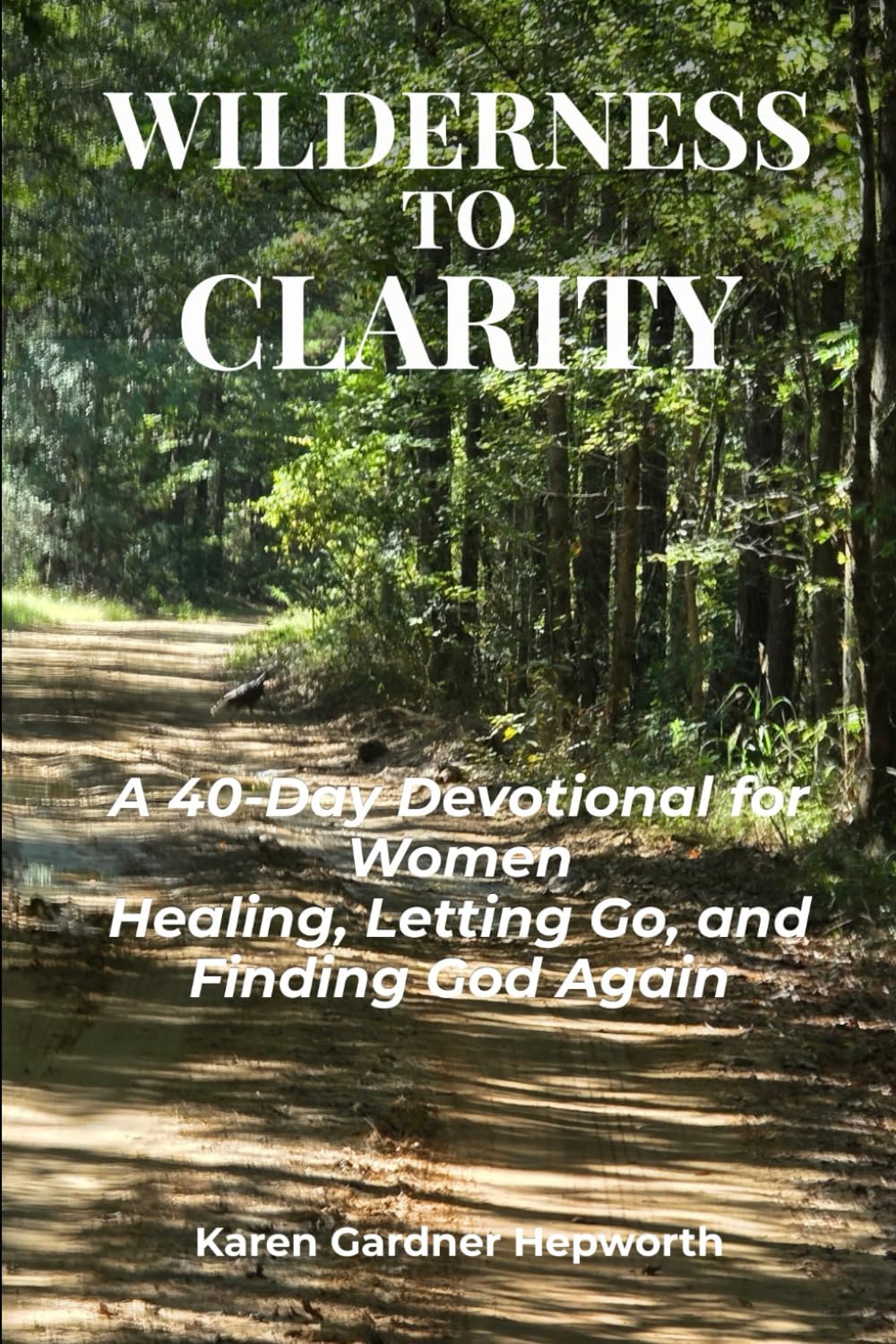 Wilderness to Clarity: A 40-Day Christian Devotional for Women Healing from Heartbreak, Rebuilding Faith, and Finding Peace Again