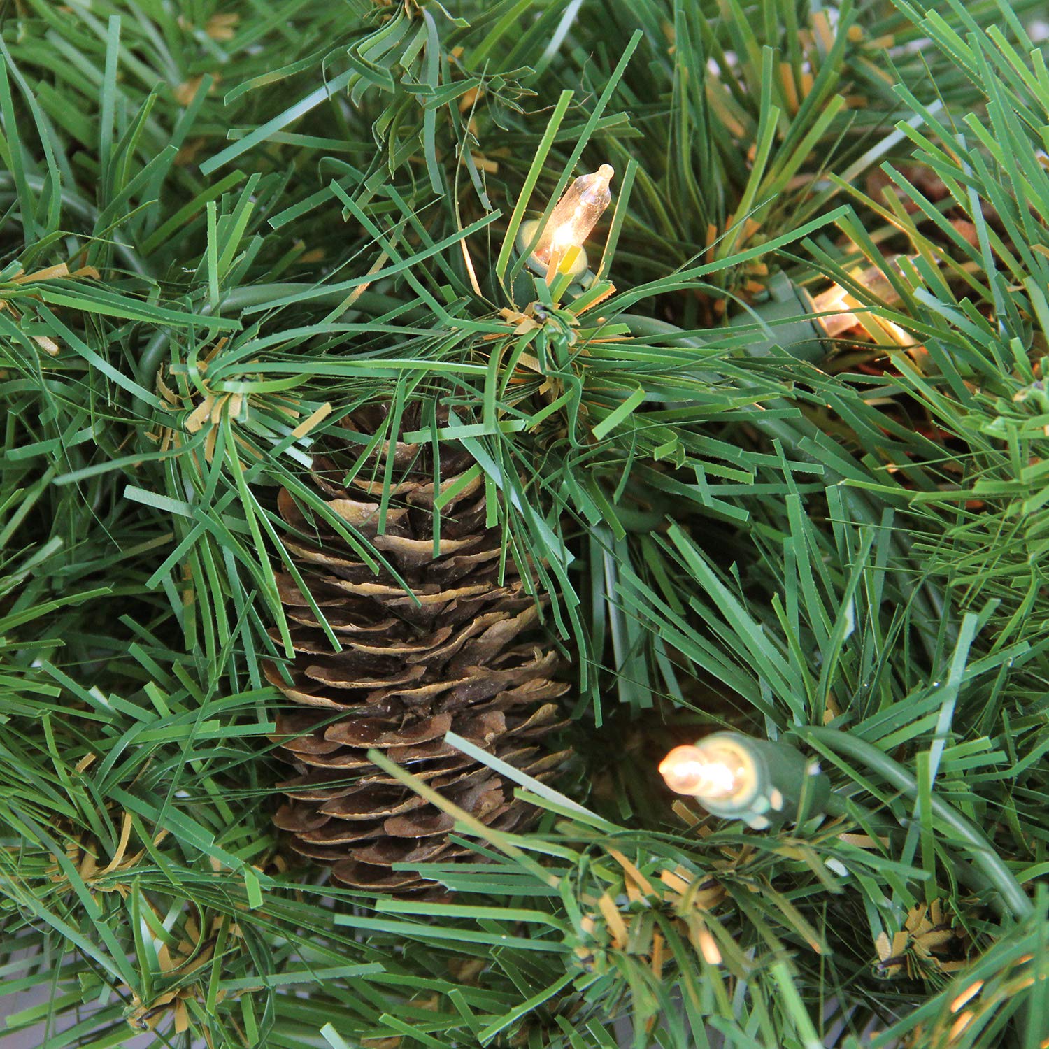 Northlight Z99420 24