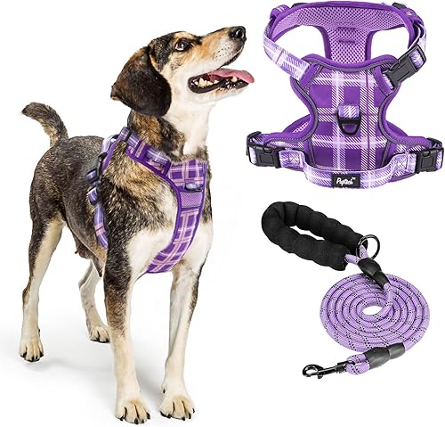 PUPTECK Juego de arnés y correa para perro sin tirones con asa, chaleco acolchado reflectante ajustable a prueba de escapes para perros pequeños,