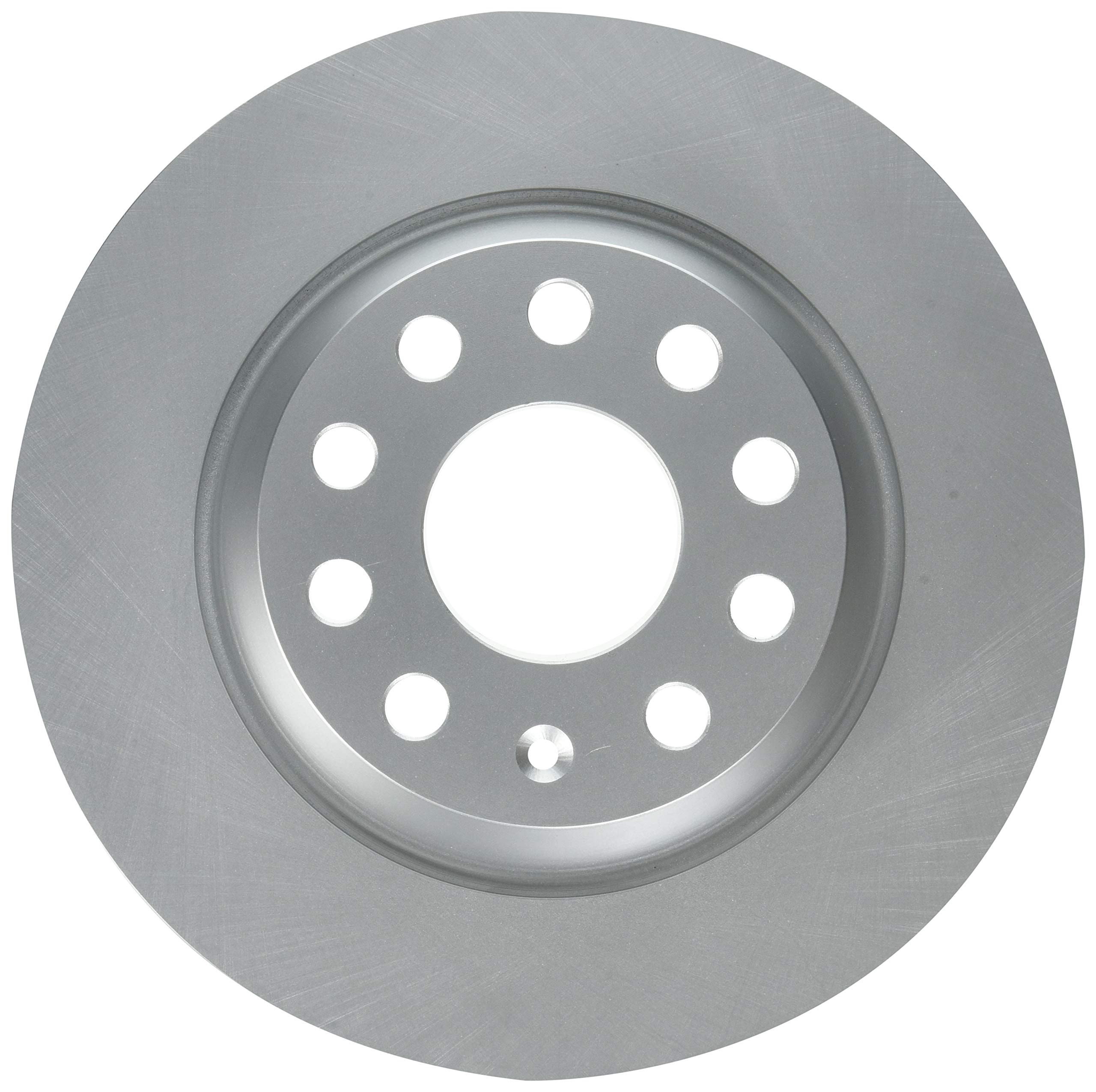 Raybestos 980791FZN Rust Prevention Technology Coated Rotor Brake Rotor, 1 Pack