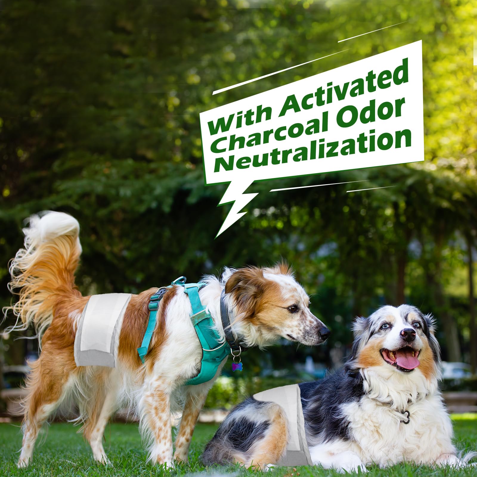 Couches pour Chien mâle, M-48 Couches jetables pour mâles avec Charbon activé, Neutralisation des odeurs, Couches Douces et Respirantes, Pantalons d'incontinence pour Chiots M-48