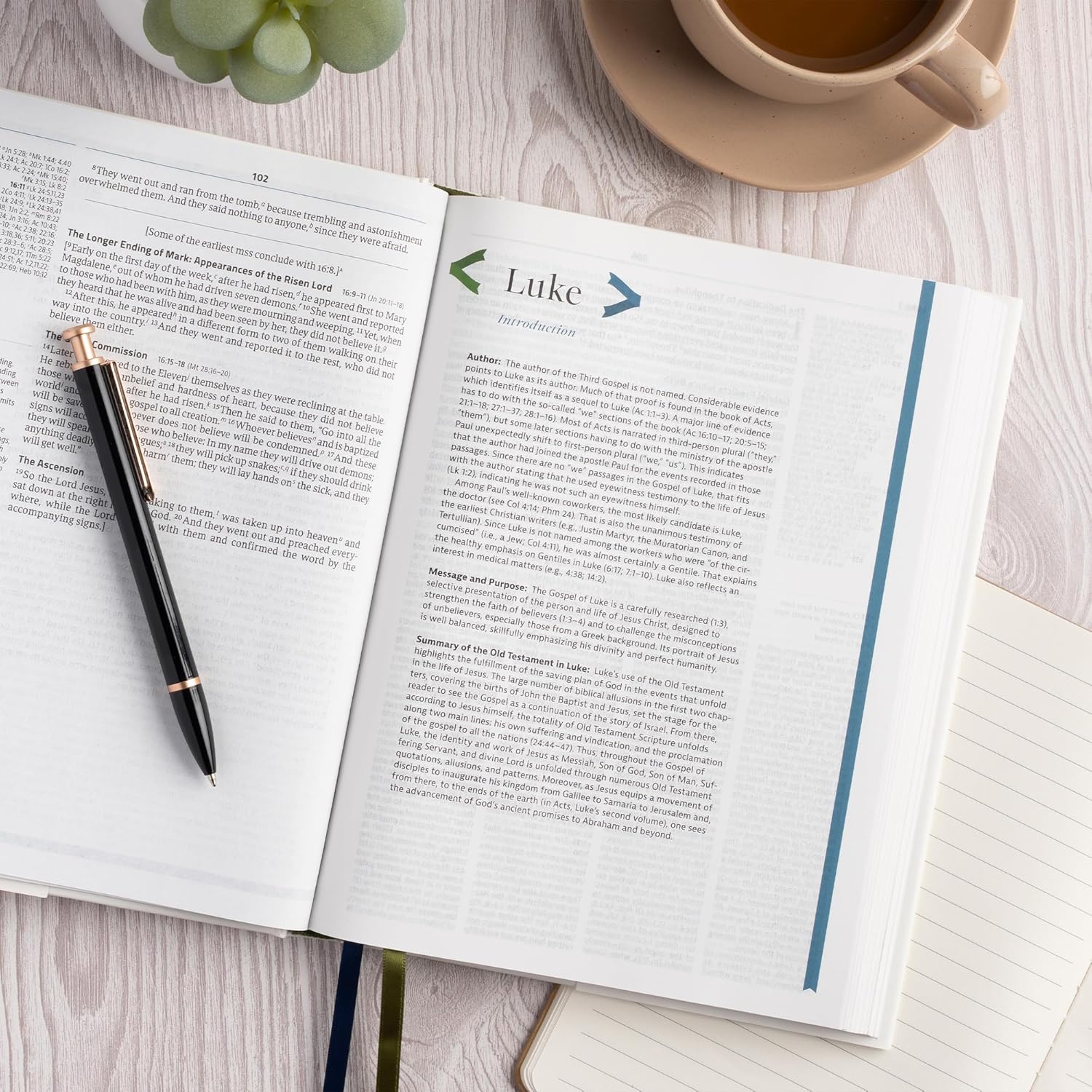 CSB Connecting Scripture New Testament, Hardcover, Black Letter, Single-Column, Expanded Cross-Reference System, Color-Coded Text, Book Introductions, Study Notes, Articles, Charts, Easy-to-Read Type      Hardcover – October 15, 2025