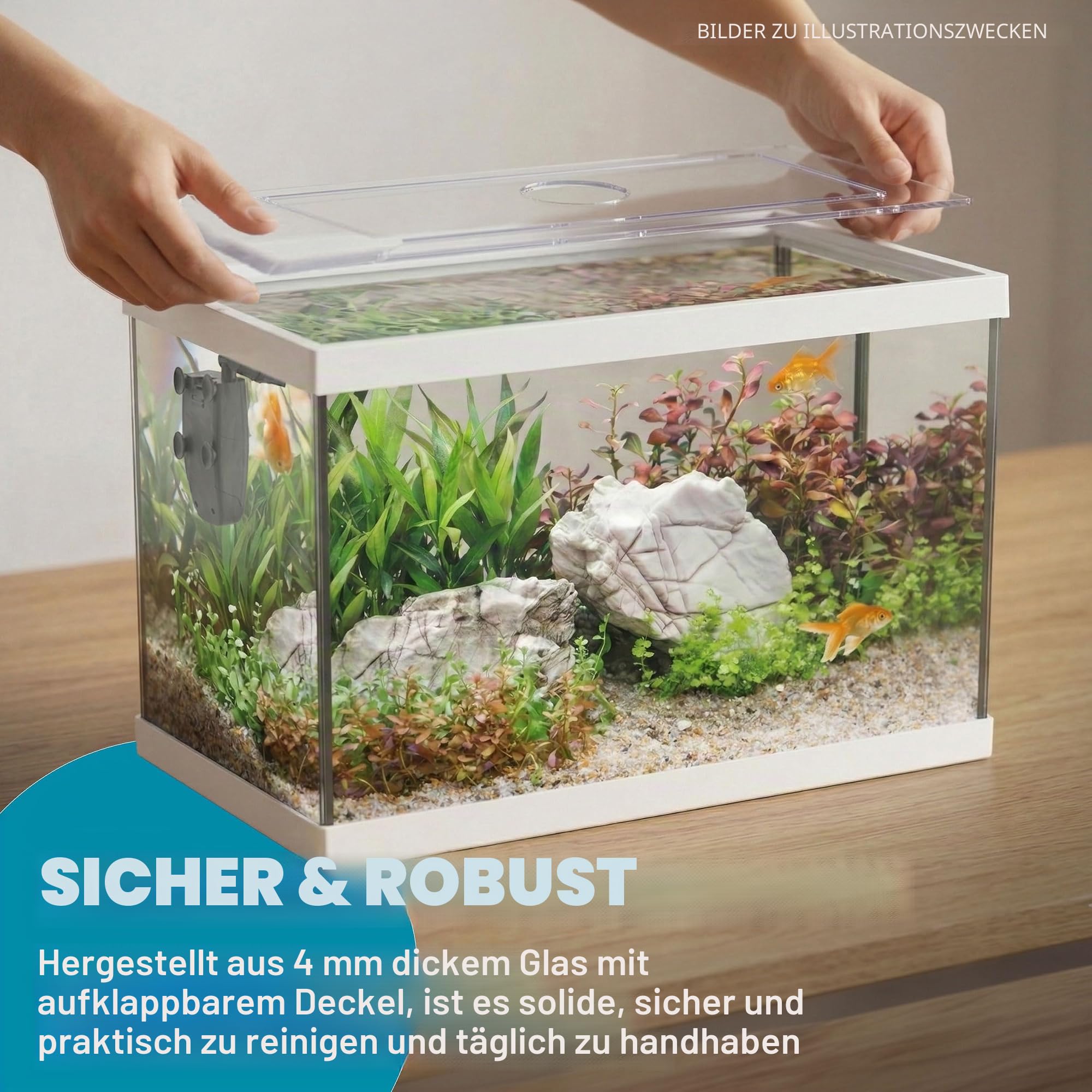AQPET One Mini Aquarium aus Glas weiß 20 Liter - komplettes Aquarium mit Innenfilter, Sand, Zierpflanze und Hintergrund - Elegantes Design 36x22x26 cm, ideal für Anfänger