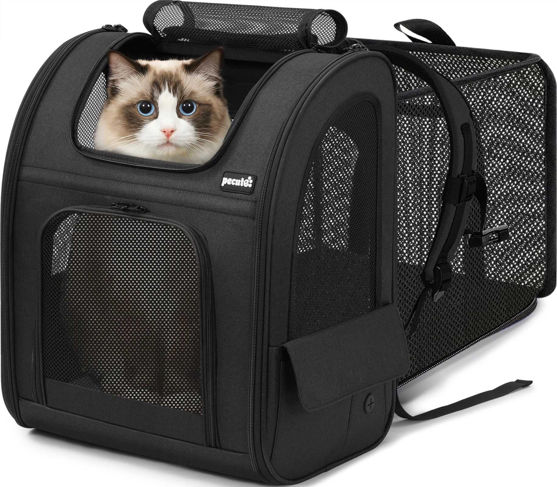 Pecute Zaino per Cani Gatti Grandi Estensibile, Cuccia Portatile, Trasportino Estraibile Indicato per Viaggi Sia Lunghi Che Corti（Nero)