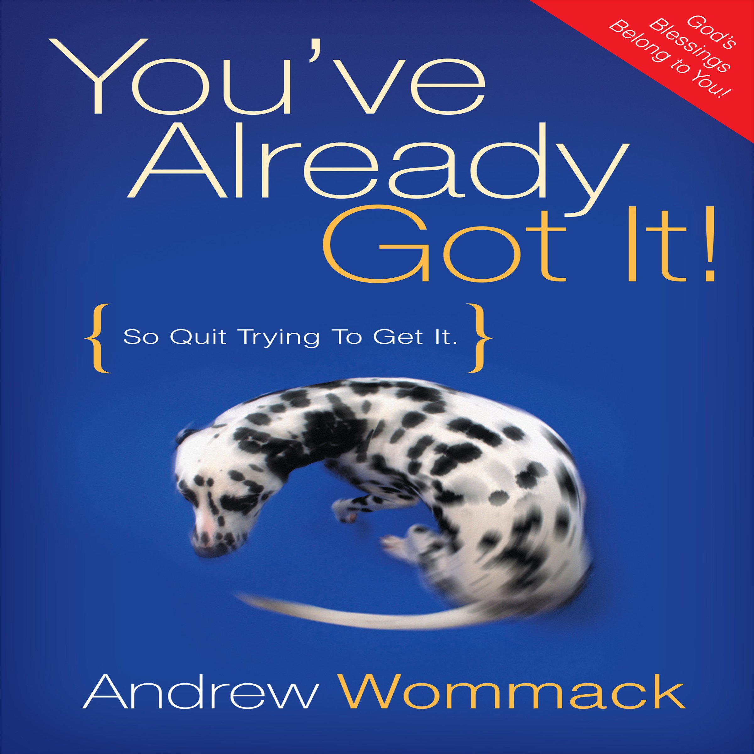 Cover art for You've Already Got It