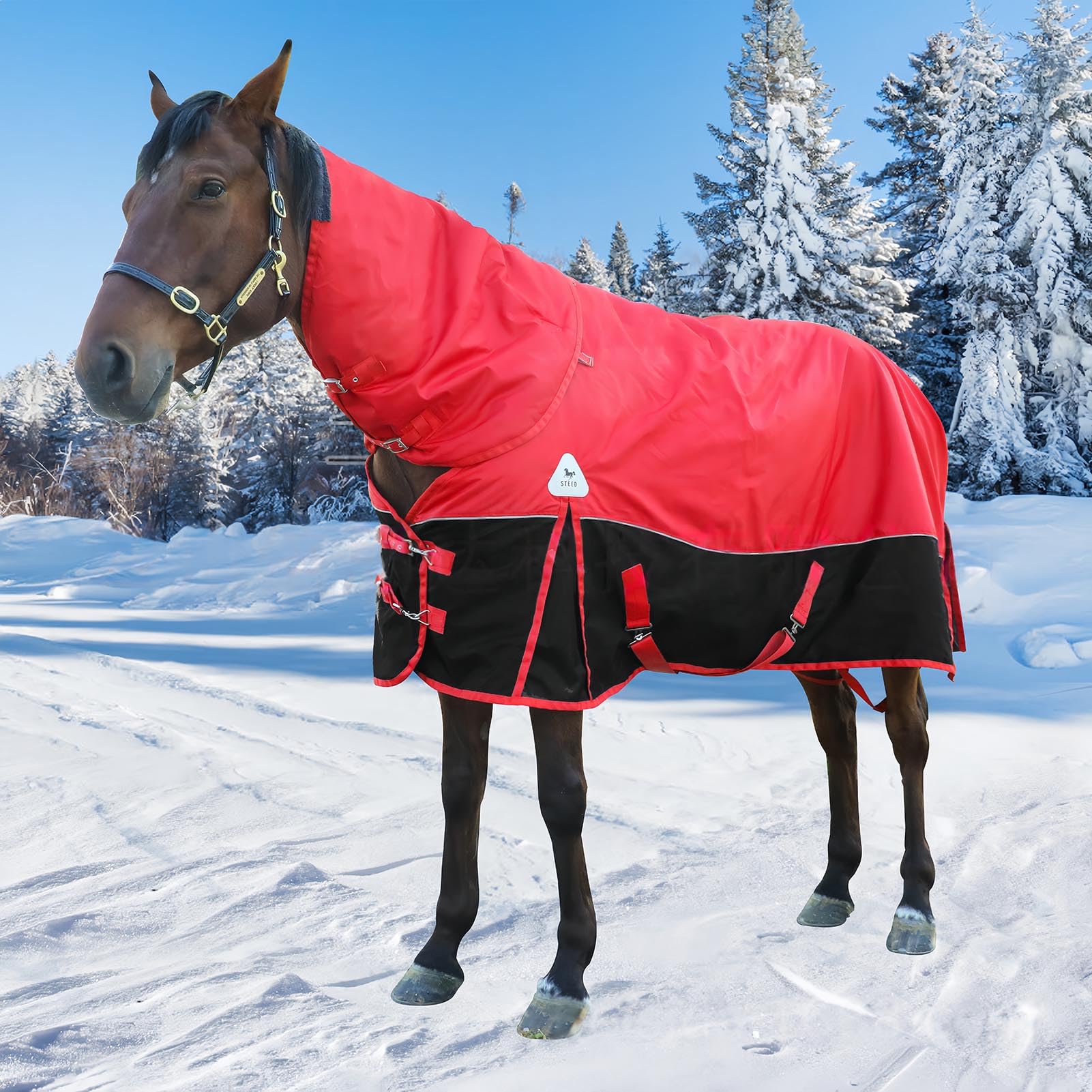 Coperta da Equitazione per Cavalli da 400 G, Coperta per Cavalli con Copricollo, Coperta per Cavalli Impermeabile 1200d, con Collo Staccabile, Esterno Spesso