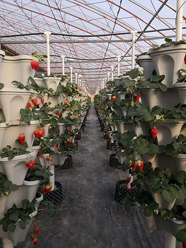 Miniatura 8 de Macetas apilables grandes de 18 pulgadas (Terra-Cotta) para jardín de puerta. Maceta vertical. Fabricado en Estados Unidos. Fácil de instalar,