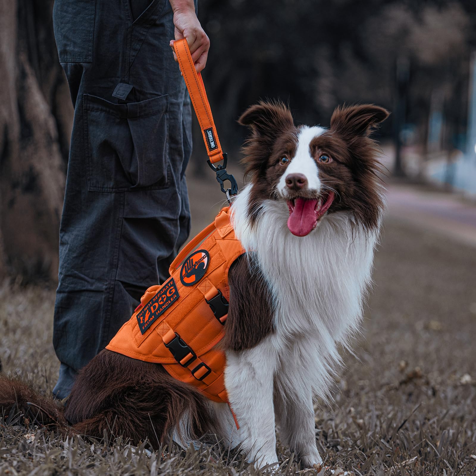 OneTigris Bolt - Guinzaglio corto per cani da 52 cm, con dentata di tigre in metallo e morbida imbottitura, riflettente, in nylon, adatto per cani di taglia media, colore arancione