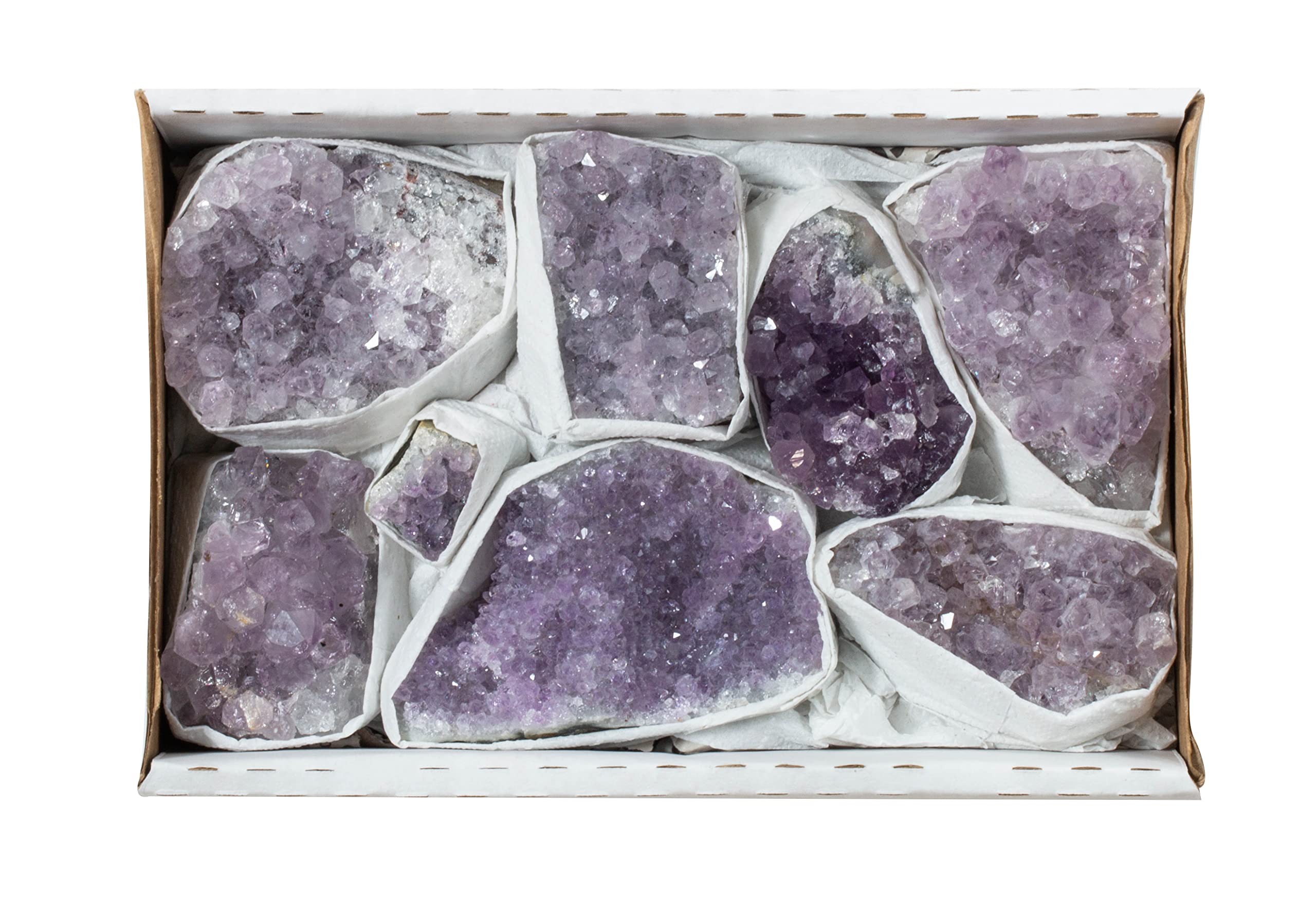 The Chrysalis StoneAmethyst Cluster Collection | Box Size: 5" x 7" | 6-10 Pcs