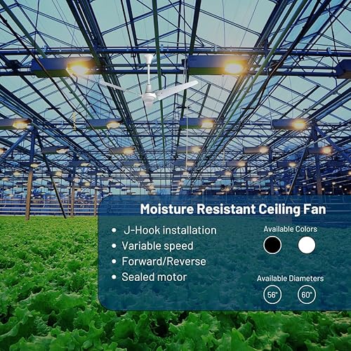 Miniatura 6 de VES Ventilador de techo resistente a la humedad para interiores y exteriores de 60 pulgadas color blanco cuchillas de poli