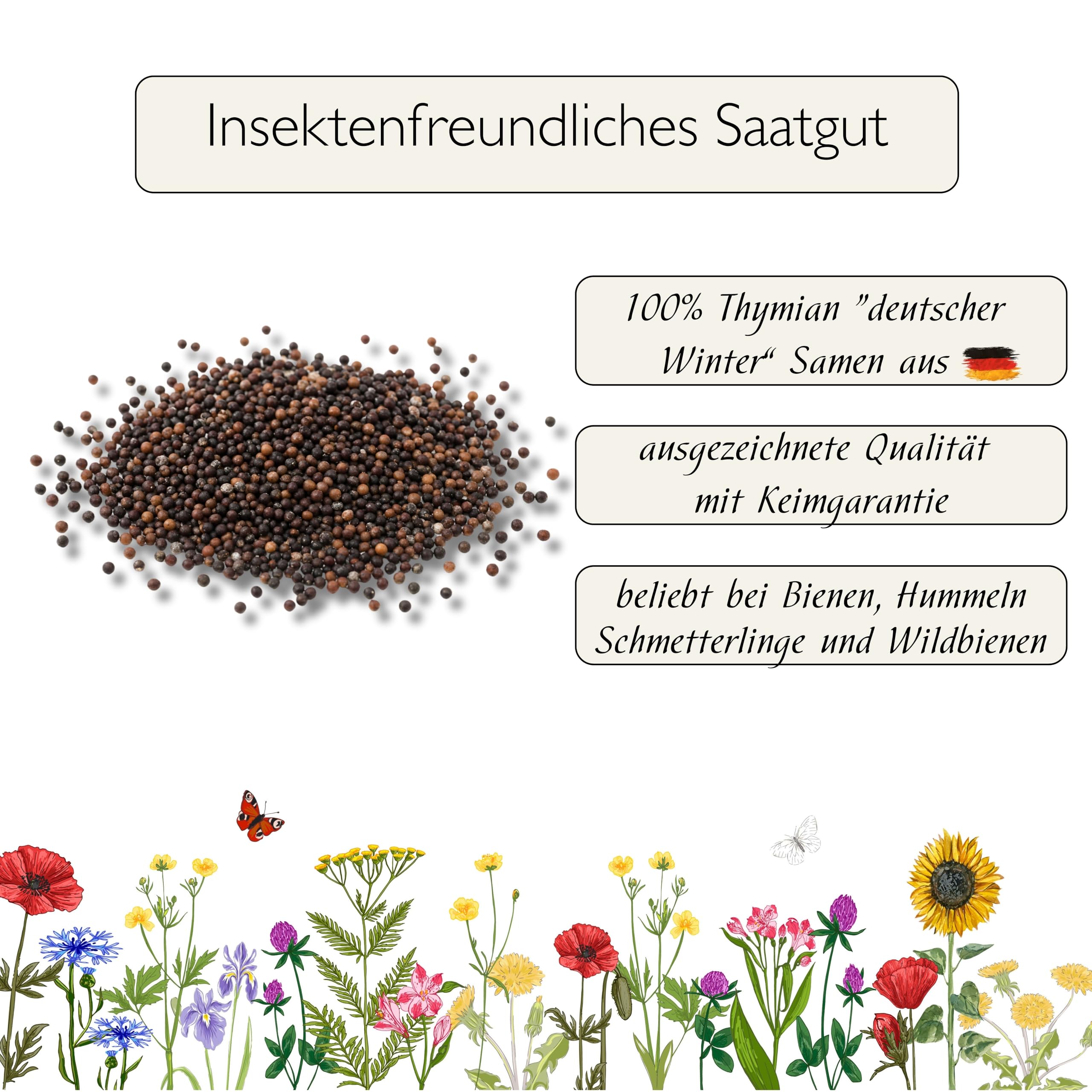 Deutscher Thymian Samen 2.000 Stck  Thymus vulgaris mehrjhrig,  winterharte Kruter Pflanze, bienenfreundlicher Bodendecker,  trockenresistent fr Garten Balkon Beet : Amazon.de: Garten
