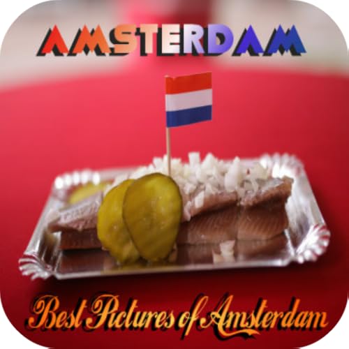 Amsterdam Place of Interest - //medicalbooks.filipinodoctors.org