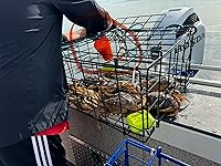 Vista 3 de Bait Binder™ Kit de cebo - El 'original' - Camarones, cangrejo, cangrejo, chum - 5 libras