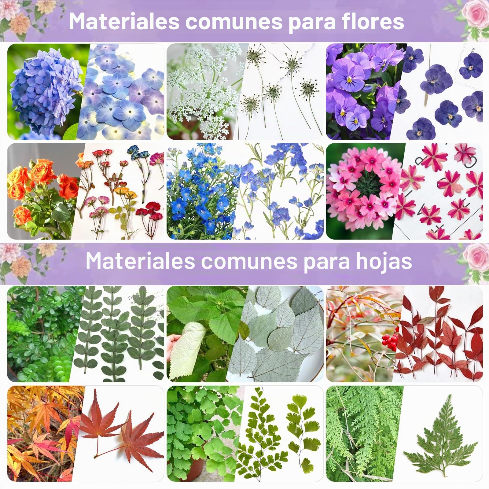 Suziko Gran Kit de Prensa de Flores para Adultos y Niños - Mide 27.5 x 17.8 cm, Ideal para Artesanía y Manualidades para Adultos, Prensa de Hojas y Flores - Un Fantástico Regalo para los Amantes