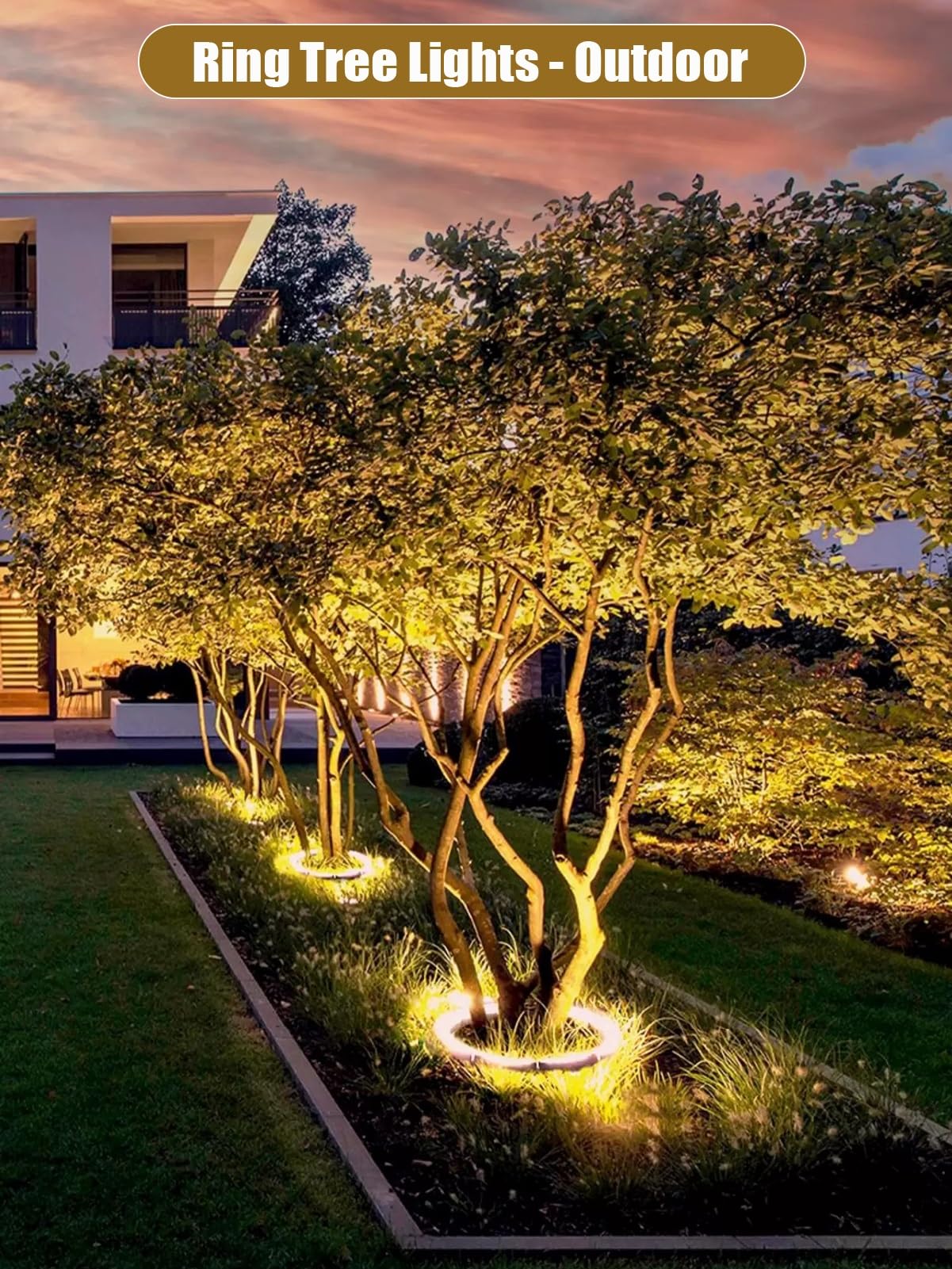 Wodoodporne Lampy Pierścieniowe IP65 Na Zewnątrz, Reflektory Krajobrazowe LED DC24V, Ciepłe Białe Światło 3000K Do Palm, Podwórek I Ogrodów(AC220V/DC24V,4 lights)