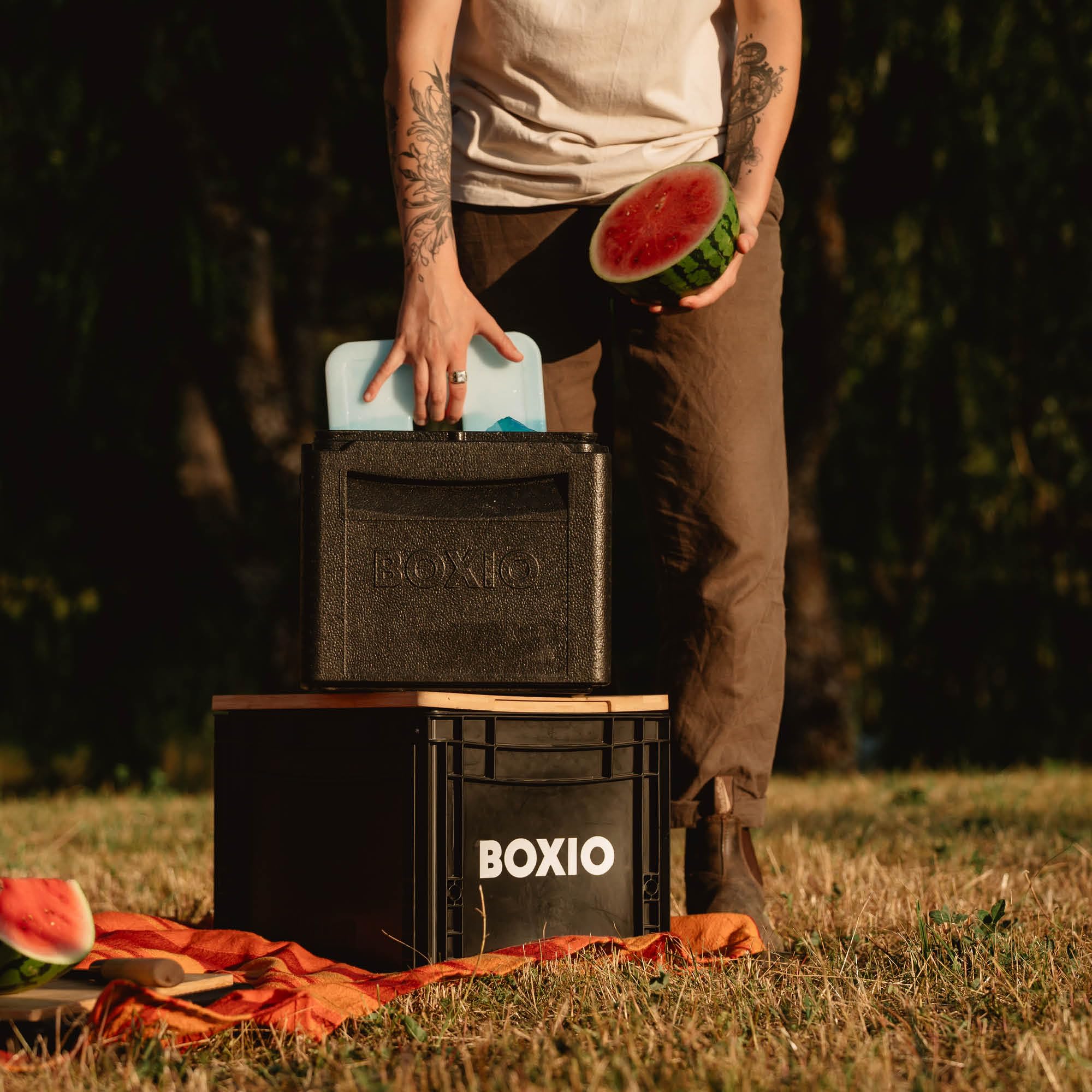 BOXIO - Cool : Votre boîte à Froid au Format Eurobox