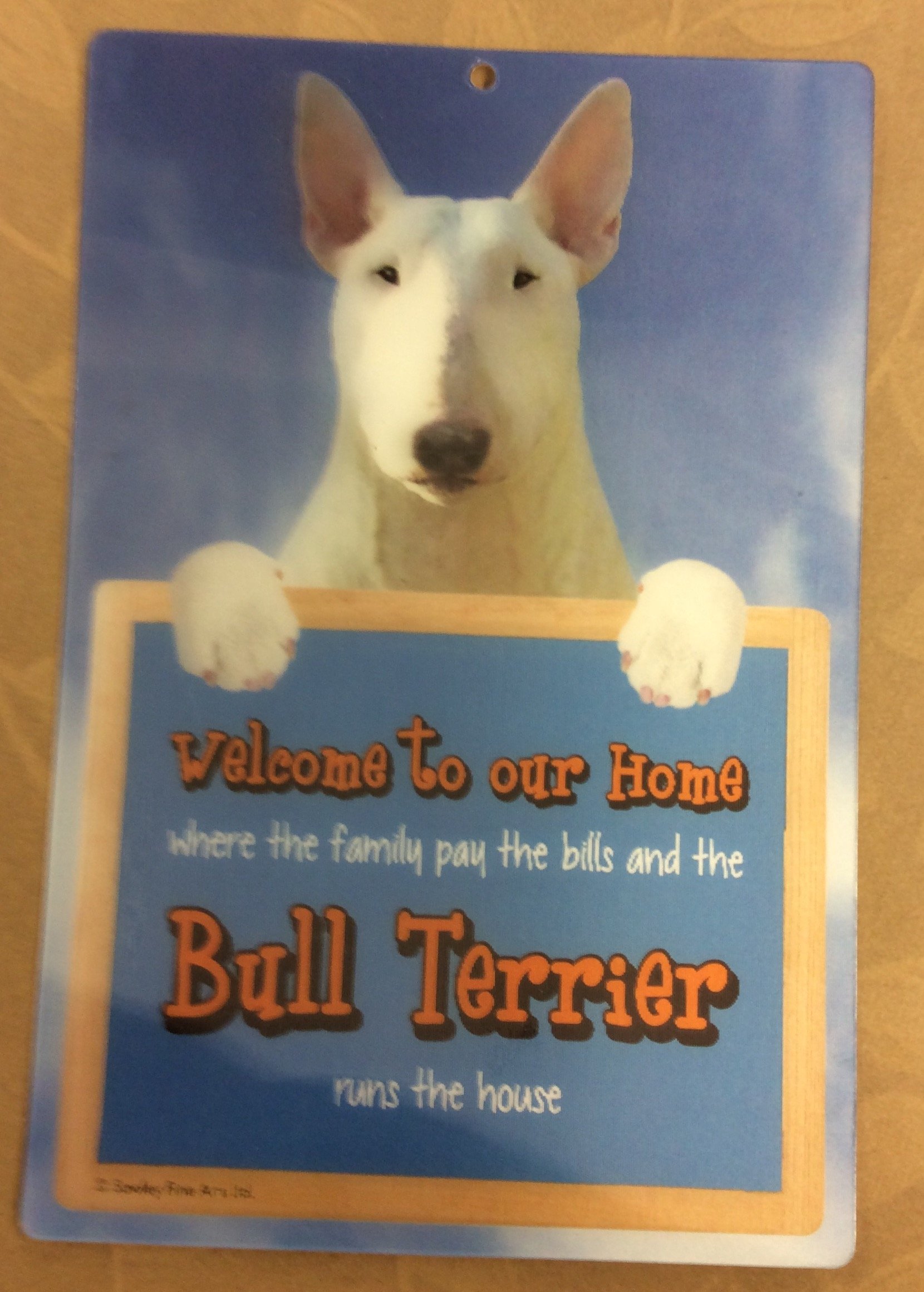3D ENGLISH BULL TERRIER WHITE DOG WELCOME SIGN STUNNING EYE CATCHING 23CM X 15CM DURABLE SIGN