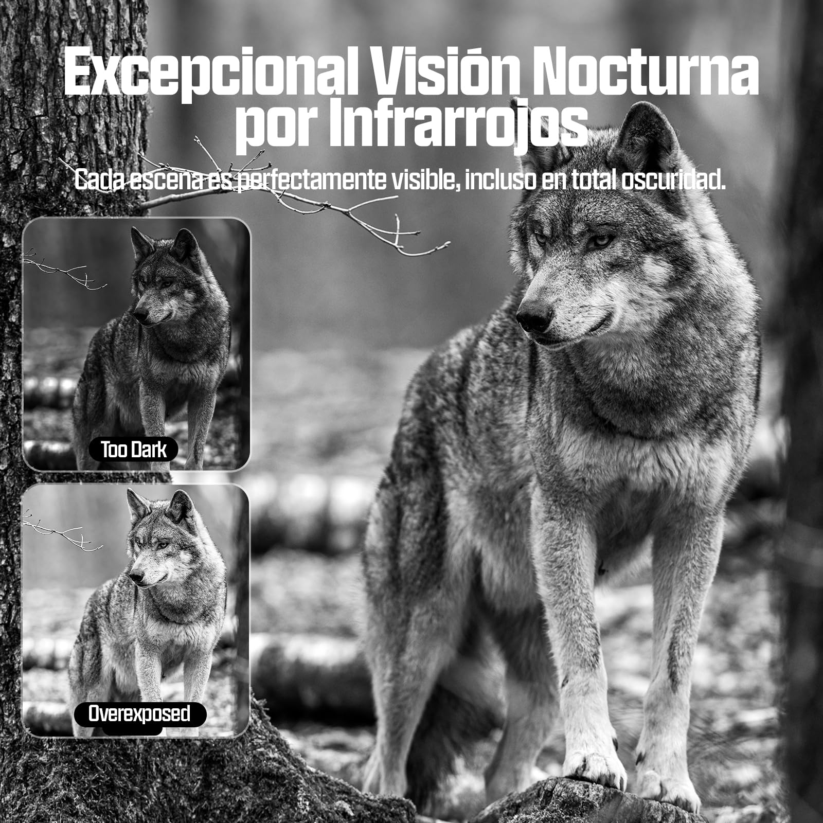 CEYOMUR 4G LTE Cámara Caza con Tarjeta Sim, 2K 48MP Visión Nocturna Activación por Movimiento Control App, Camara Fototrampeo con Disparo de 0,2s, Almacenamiento en La Nube/TF, Impermeable IP66