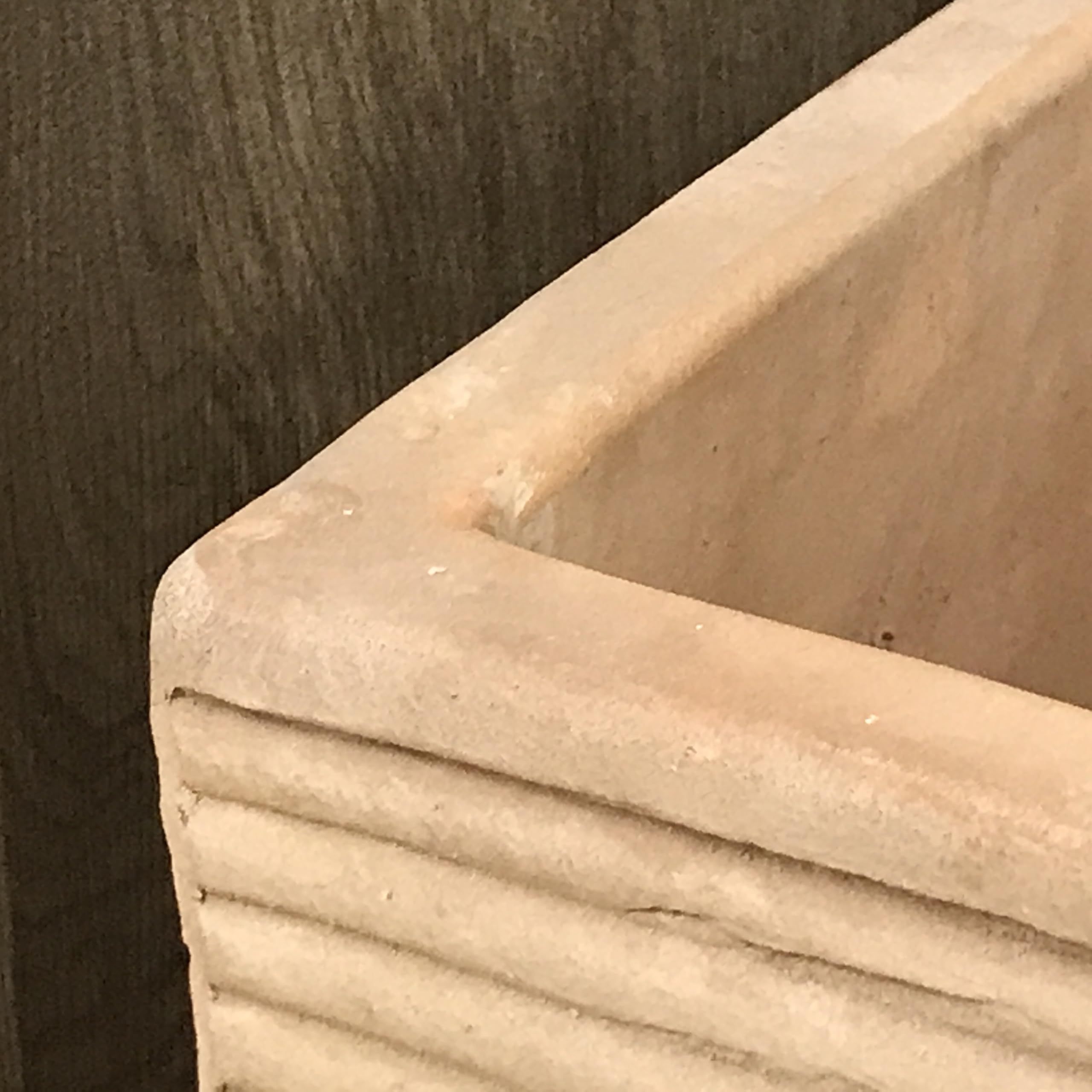 ことり ポット発送839⭐️Ashwood 【ASHWOODIENSIS】 ことり 様専用ポット発送839⭐️Ashwood 【ASHWOODIENSIS】