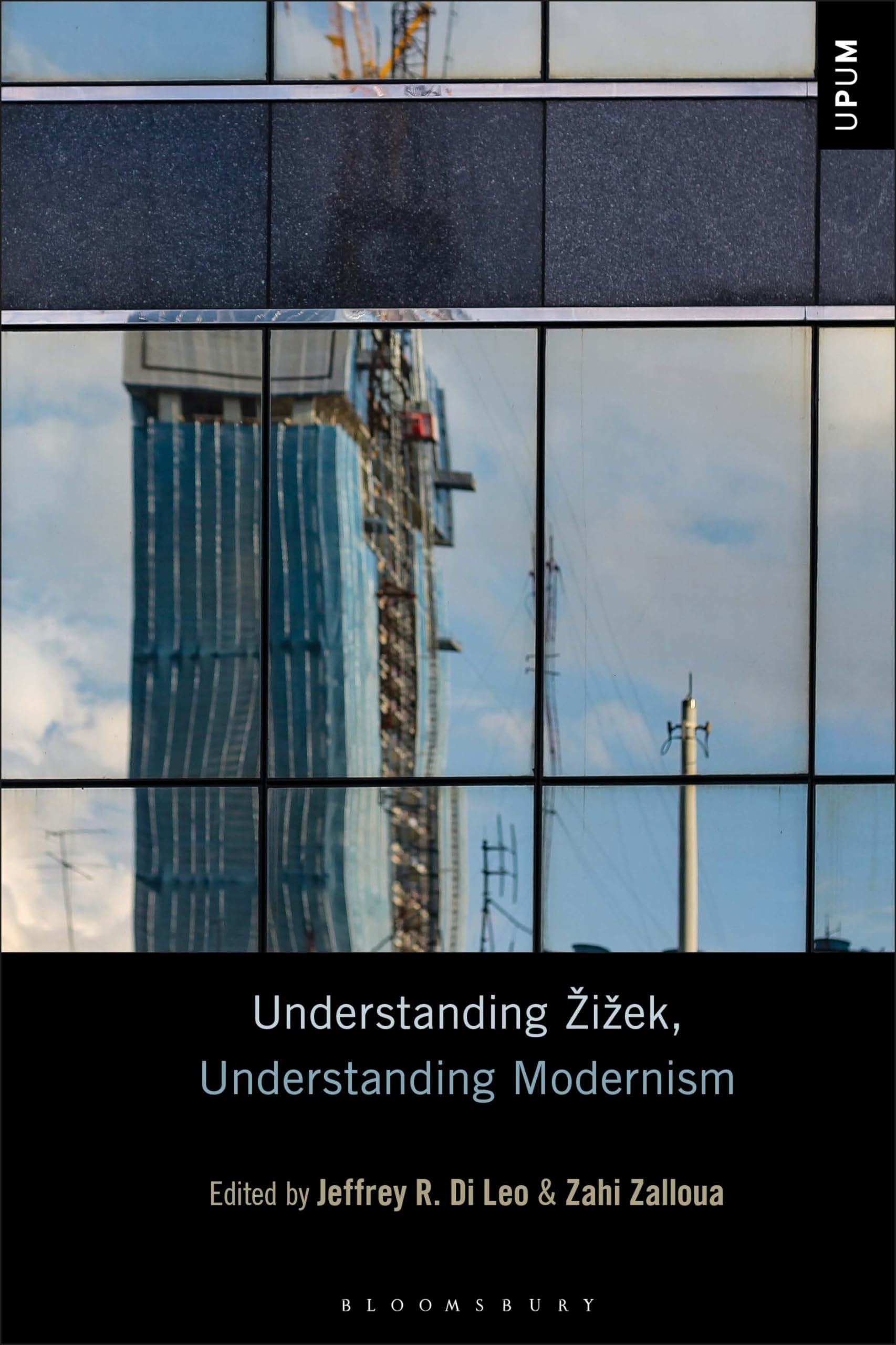 Buy Understanding Žižek, Understanding Modernism — BookShops.in