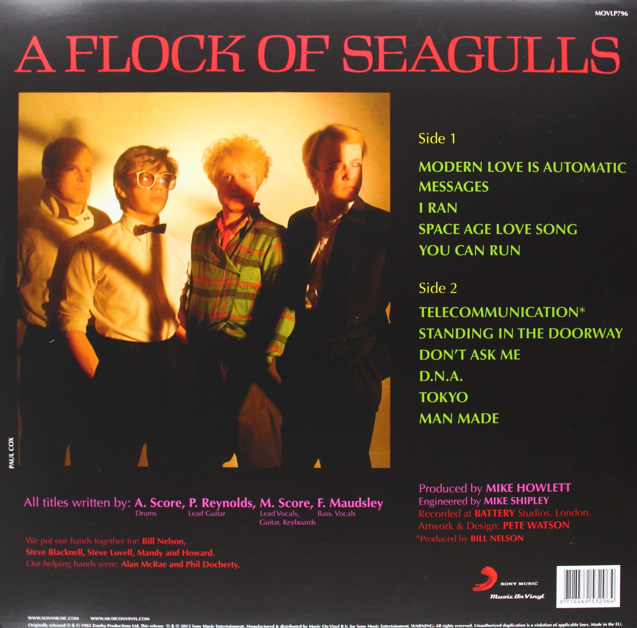 A Flock of Seagulls