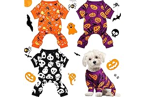 Spooky and Snug Dog Halloween Outfit