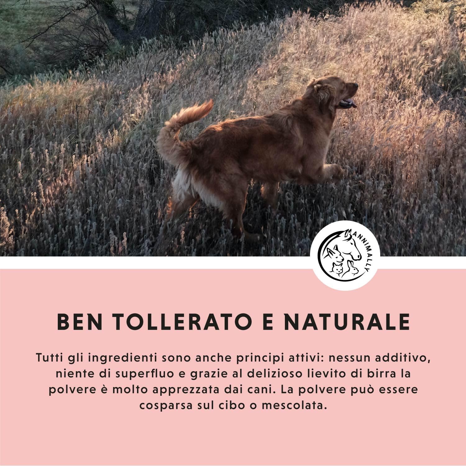 Addio Zecche in polvere per cani - 400g di polvere con olio di cumino nero, cisto, lievito di birra e alghe marine - Polvere efficace, completamente naturale come alternativa a compresse
