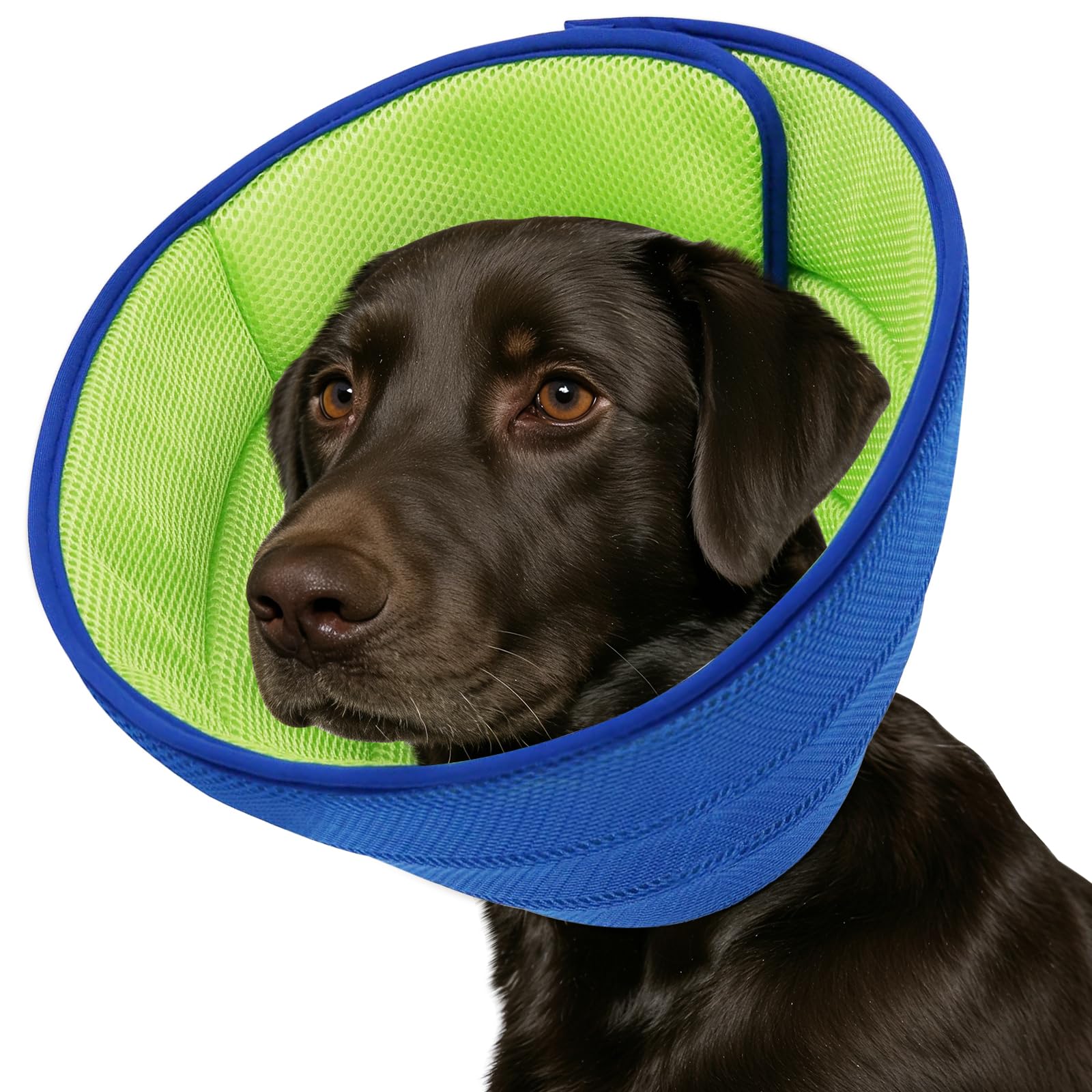 Collar de cono suave de tela premium ajustable para perros de raza