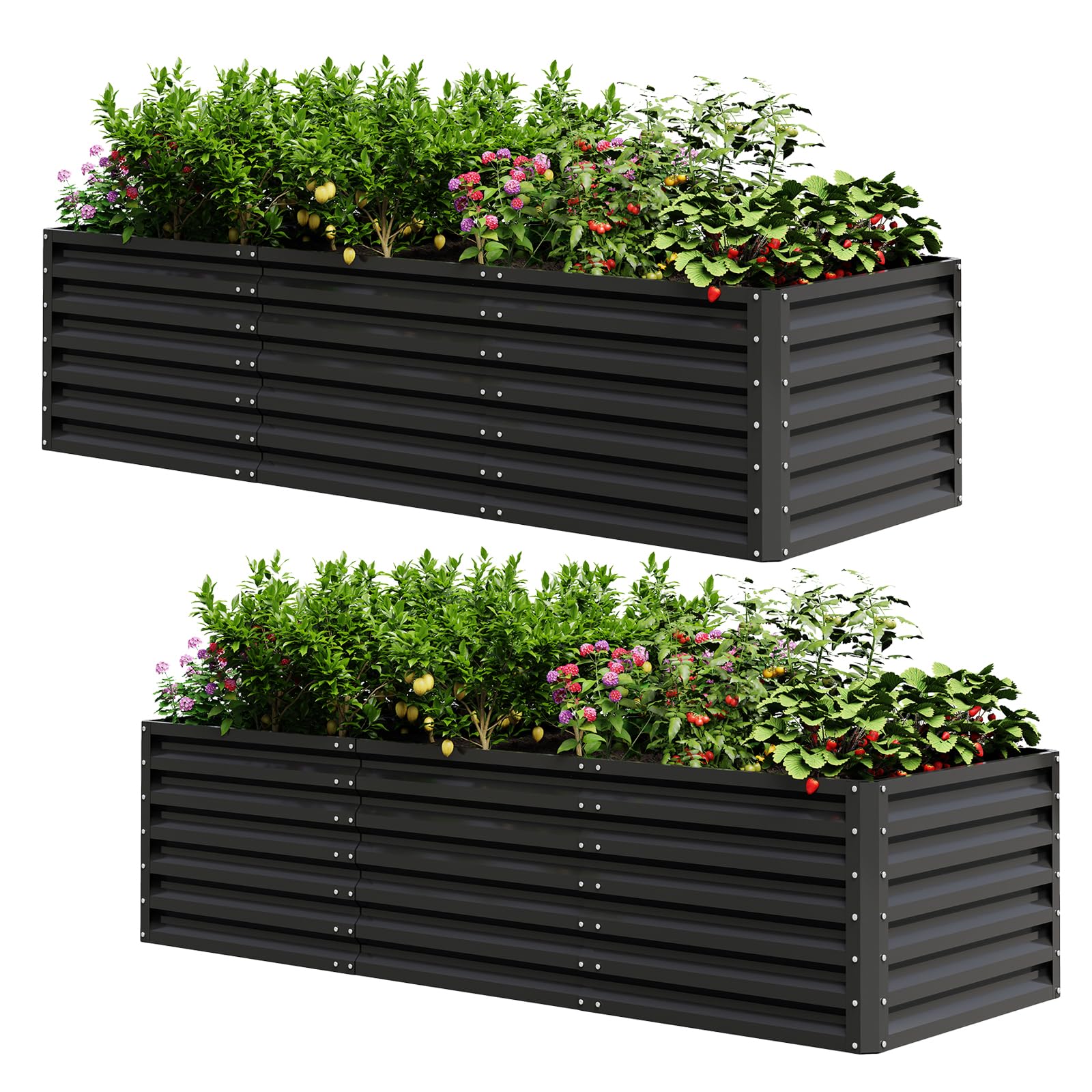UDPATIO