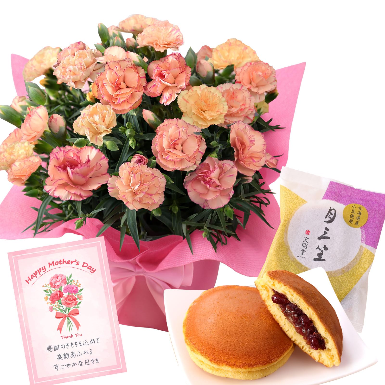 Amazon｜母の日 花 鉢植え 花鉢 ギフト プレゼント カーネーション鉢5
