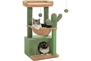 PEQUTLI 4-in-1 Cactus Cat Tree for Three Cats