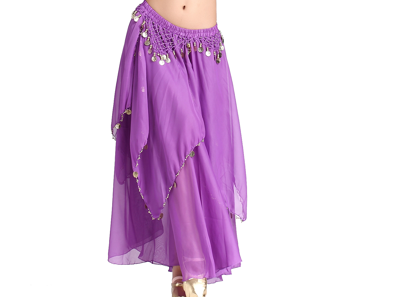 Amazon.com: ZLTdream Women's Belly Dance Chiffon Skirt With Coins