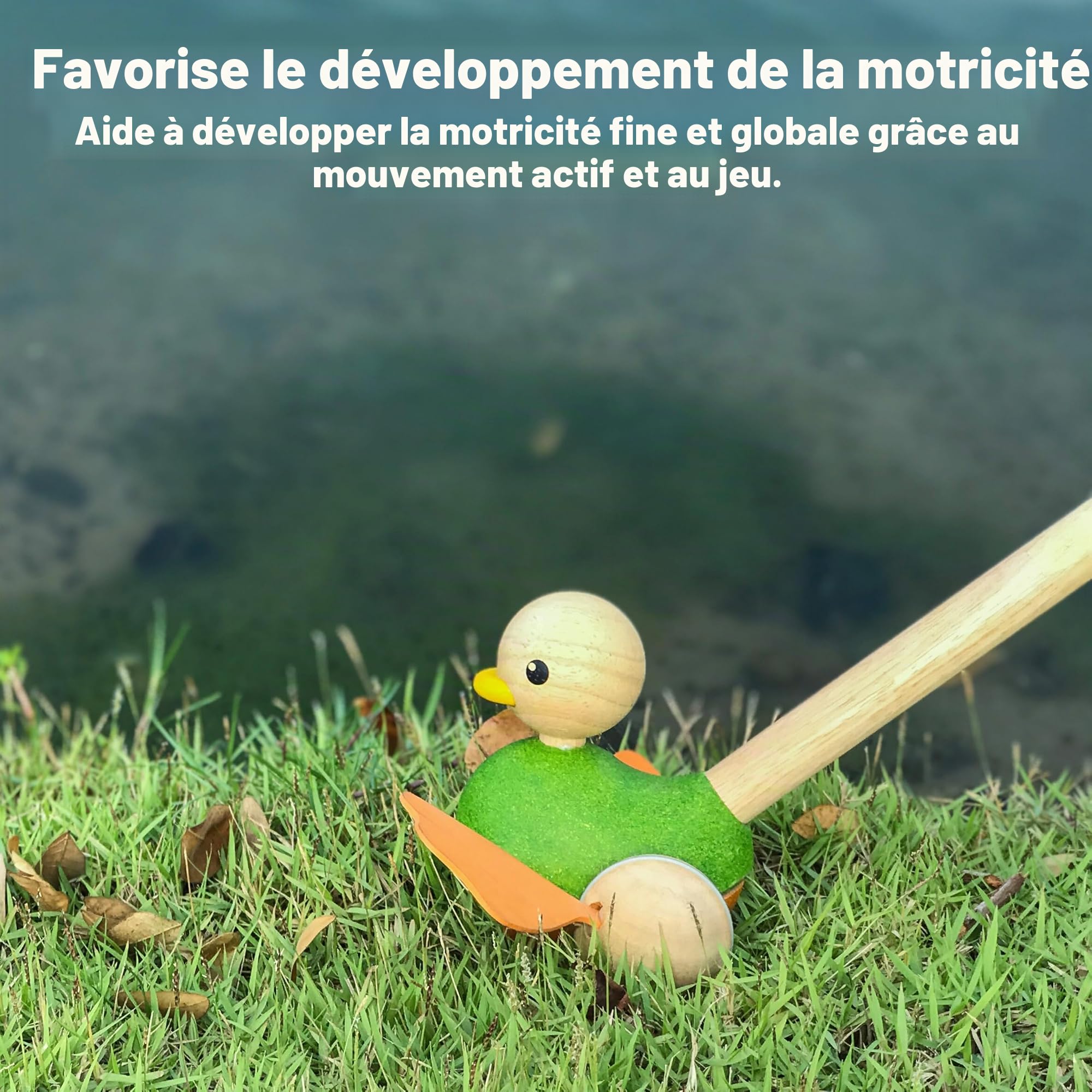 PlanToys Jouet à Pousser Canard - Animaux à Pousser en Bois dès 1 An - Canard en Bois Durable avec Bruit Flip-Flop - Jouet Éducatif pour Bébé, Wood