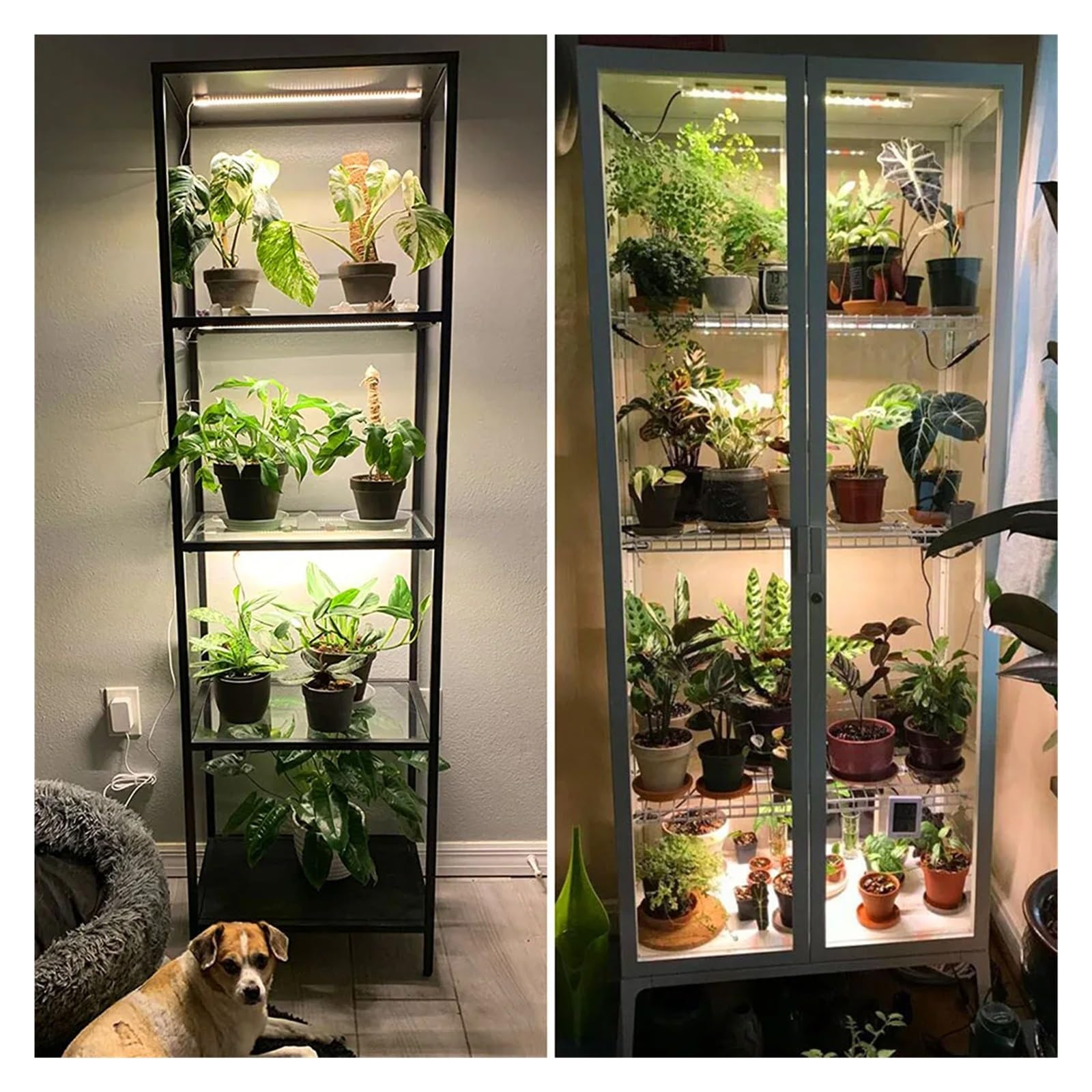 1/2/3/4 LED poussent des bandes lumineuses for l'intérieur, plantes USB spectre complet Phyto lampe réglable minuterie semis légumes fleur de croissance Illuminateur horticole(50CM(One Tows Four))