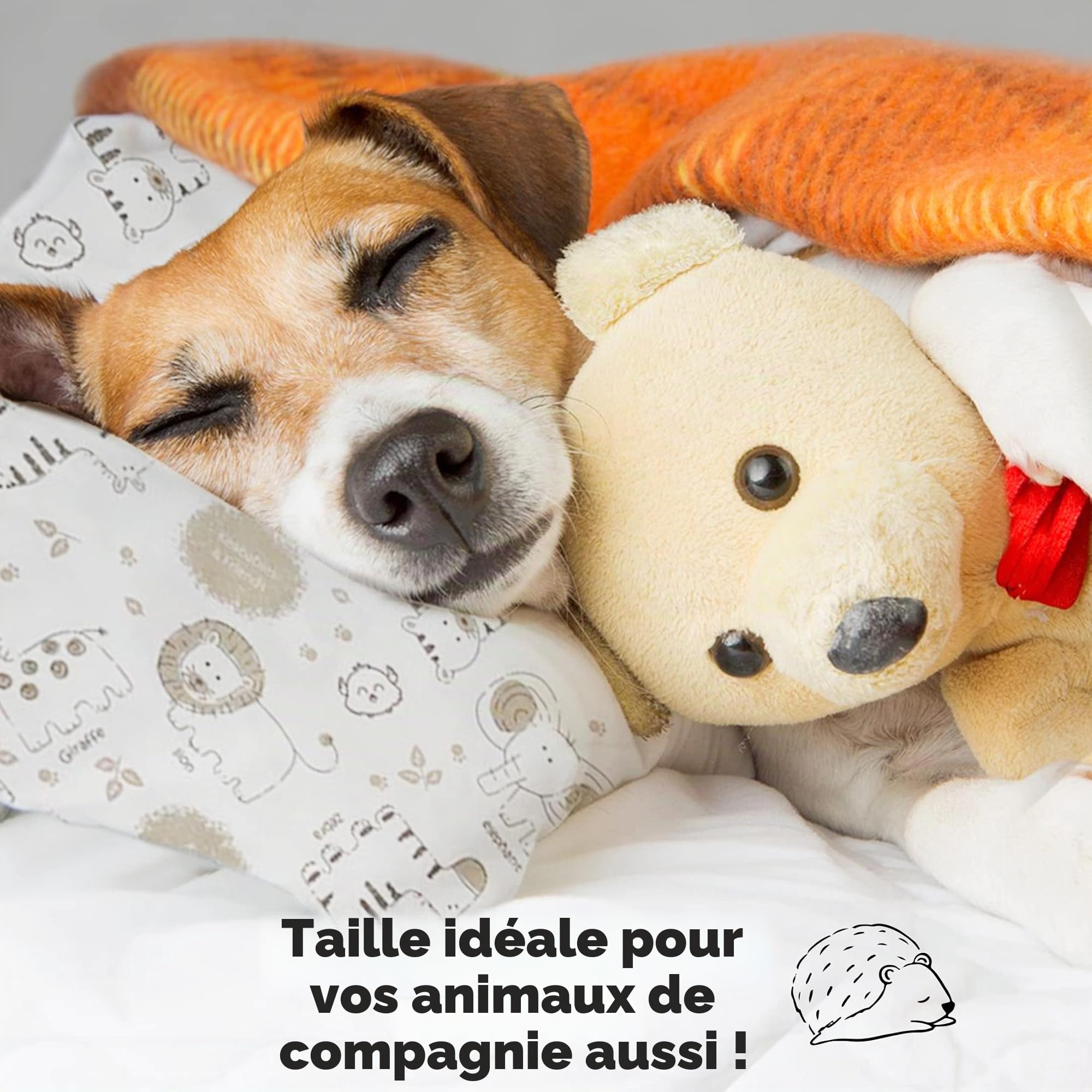 Oreiller pour Tout-Petit avec Taie d'oreiller - Oreillers Oreiller pour Tout-Petit en Coton Biologique Doux pour Dormir - Lavable en Machine - Parfait pour Les Voyages (KeaSafari)