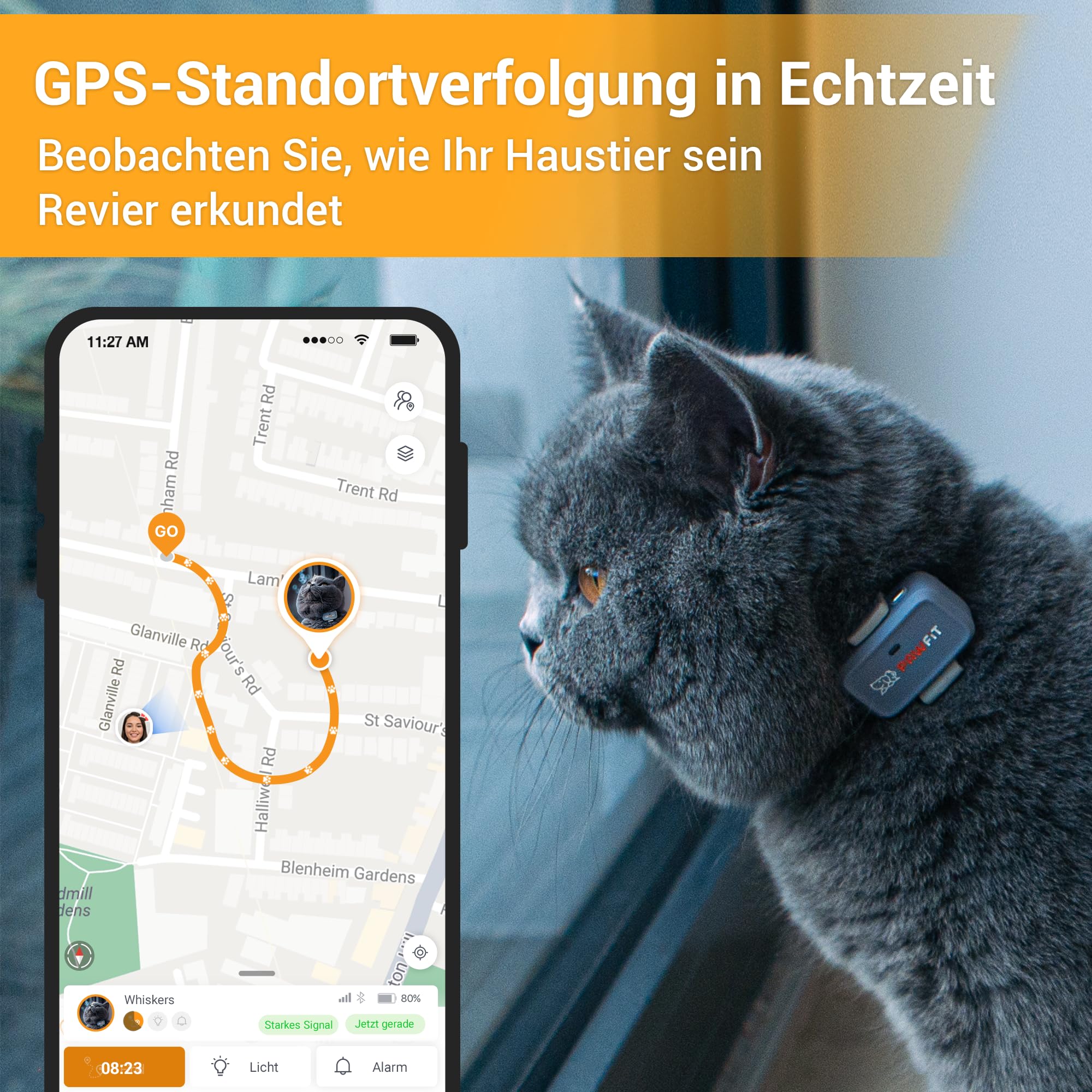 Pawfit Lite für Katzen 4G GPS Tracker | Echtzeit-Ortung | Aktivitätsüberwachung | Standortverlauf | Unbegrenzte Reichweite | Sicherheitshalsband inklusive | Kohlegrau