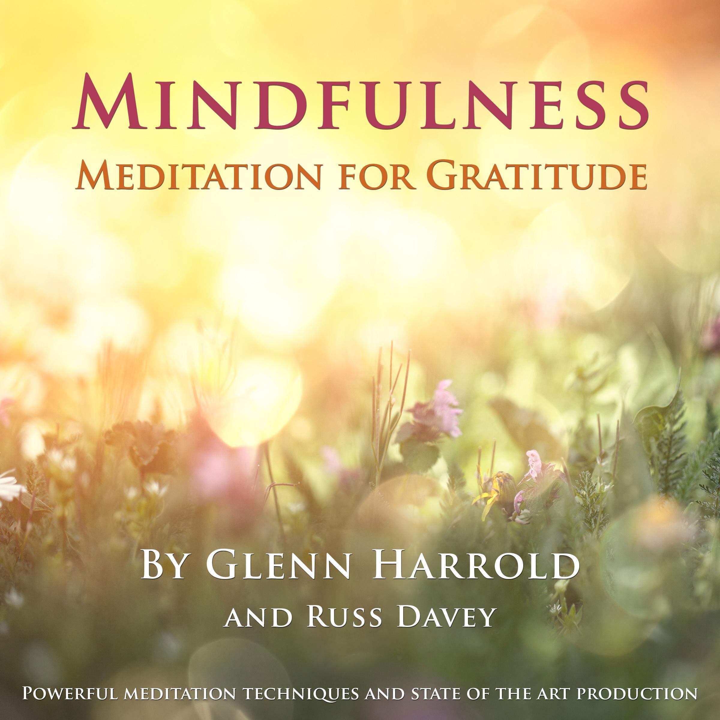 Cover art for Mindfulness Meditation for Gratitude