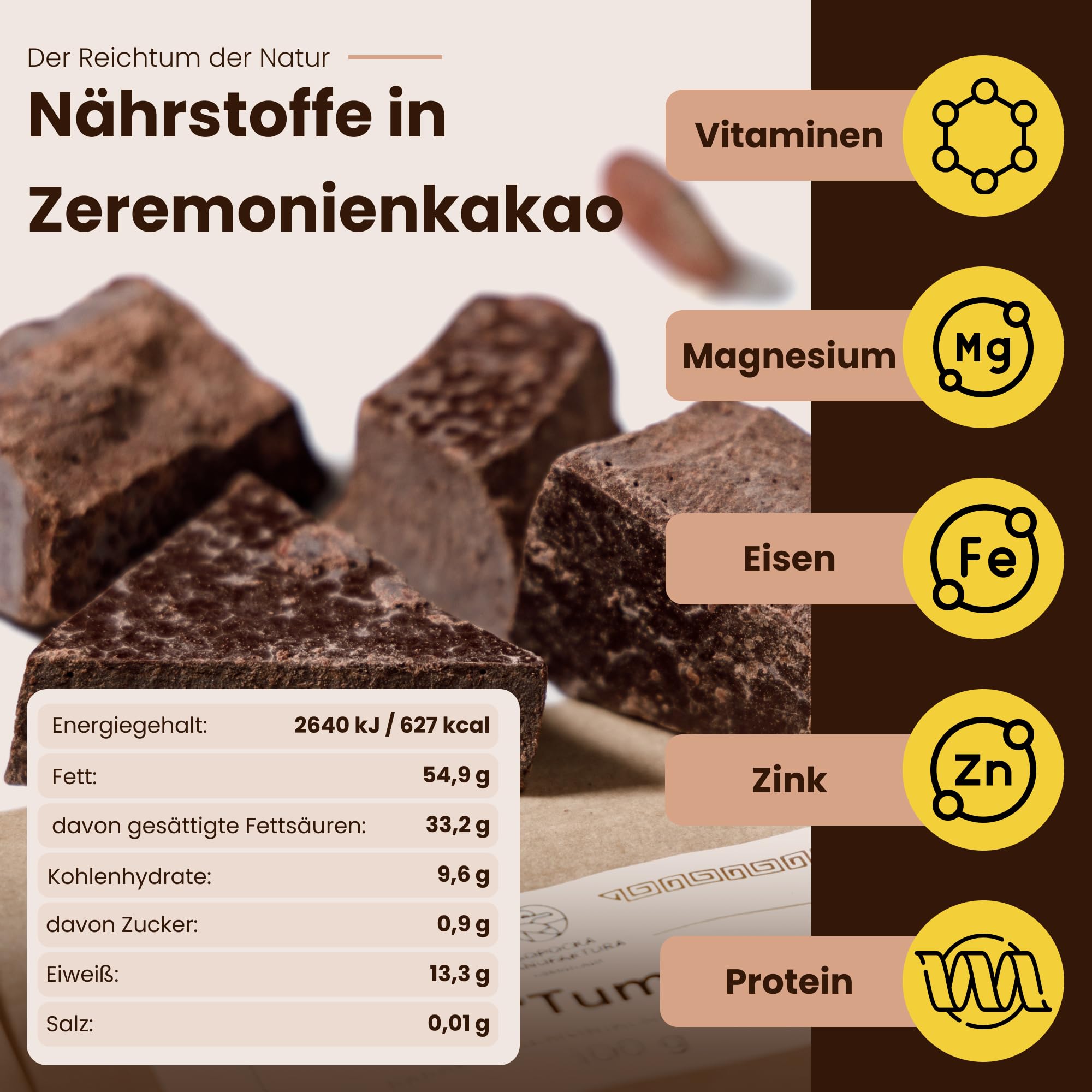 TERRAGEM Zeremonieller Kakao – 100% Kakaomasse (10×100 g) – ohne Zuckerzusatz, vegan – für Trinkkakao & Heiße Schokolade
