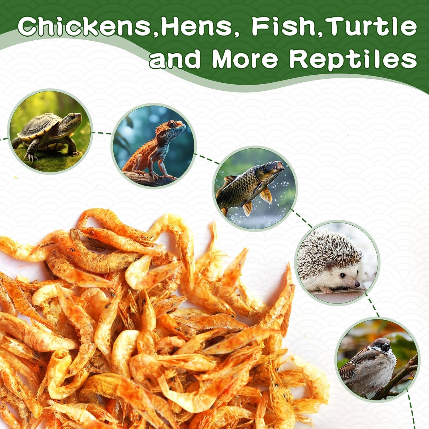 1lb Dried River Shrimp for Chicken, High Protein Freeze Red Dried Shrimp All Natural Treat for Turtles, Reptiles, Fish & Poultry, Perfect for Aquariums, Ponds, Backyard Chickens and Birds