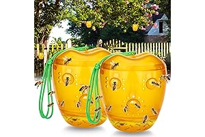 Bee Catchers, Traps, Bug Killers