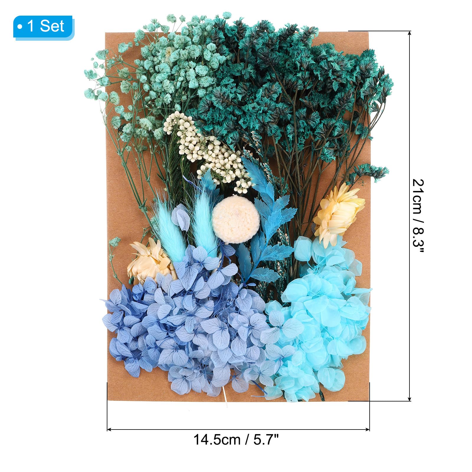 PATIKIL Pressed Flowers for Craft, Bulk Dried Flowers Natural Pressed Flowers Leaves for Resin Soap Candle Scrapbooking DIY Gift Papermaking, Blue