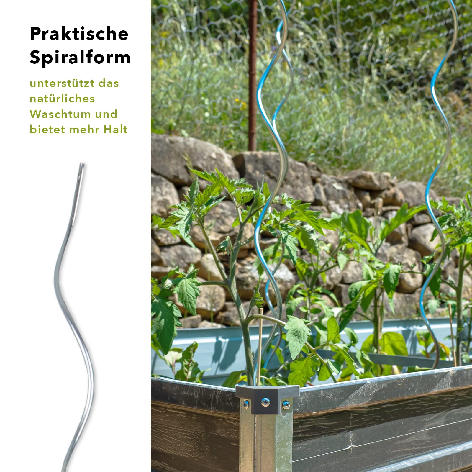 Floordirekt Pręty spiralne do pomidorów wraz z zestawem akcesoriów – długość 180 cm – 10 sztuk – drążek do pomidorów – pręt spiralny – stojak do roślin pnących – stojak do roślin pnących – pręt do