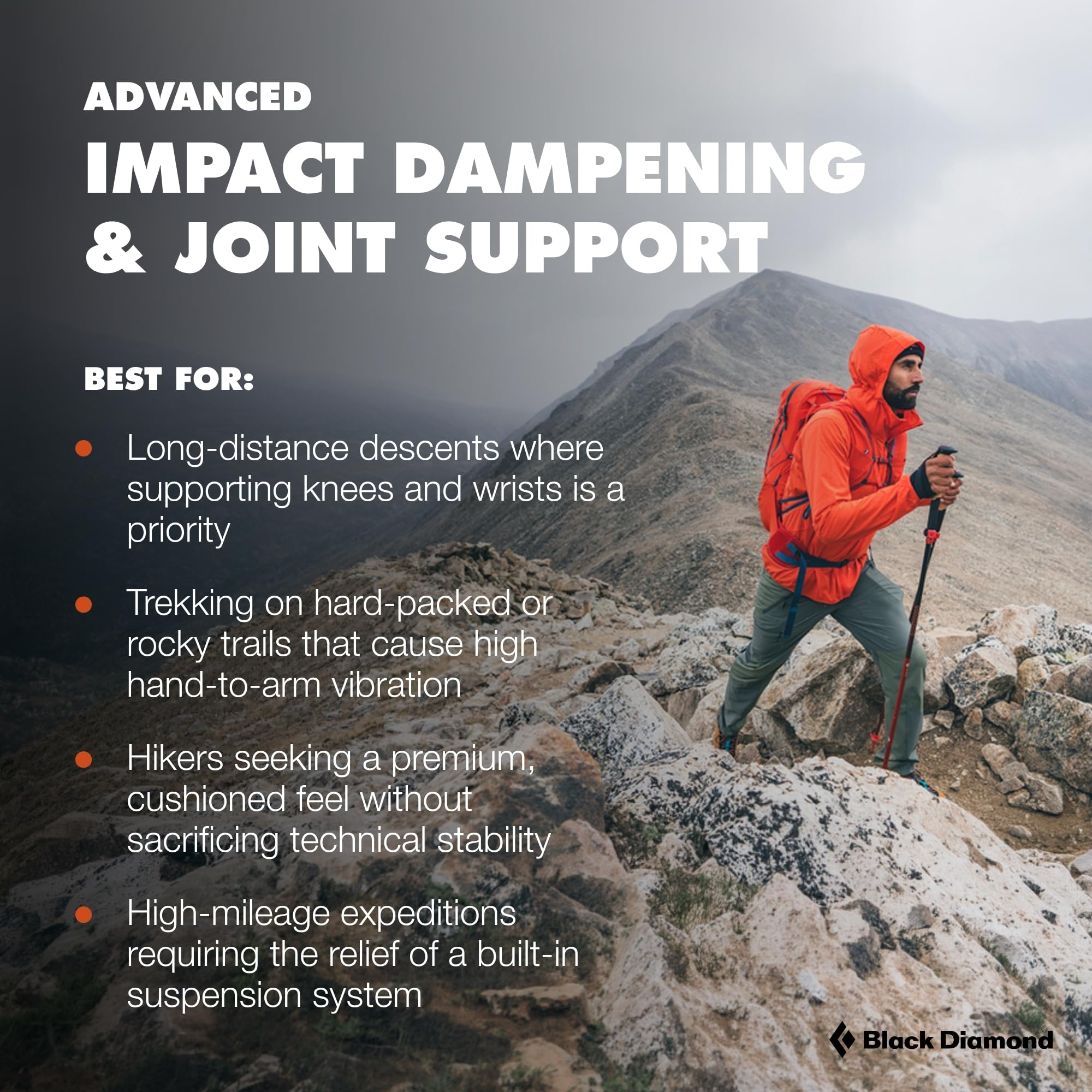 Black Diamond Pursuit Shock Trekking Poles