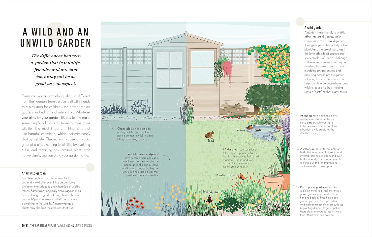 How to Attract Wildlife to Your Garden: Foods They Like, Plants They Love, Shelter They Need
